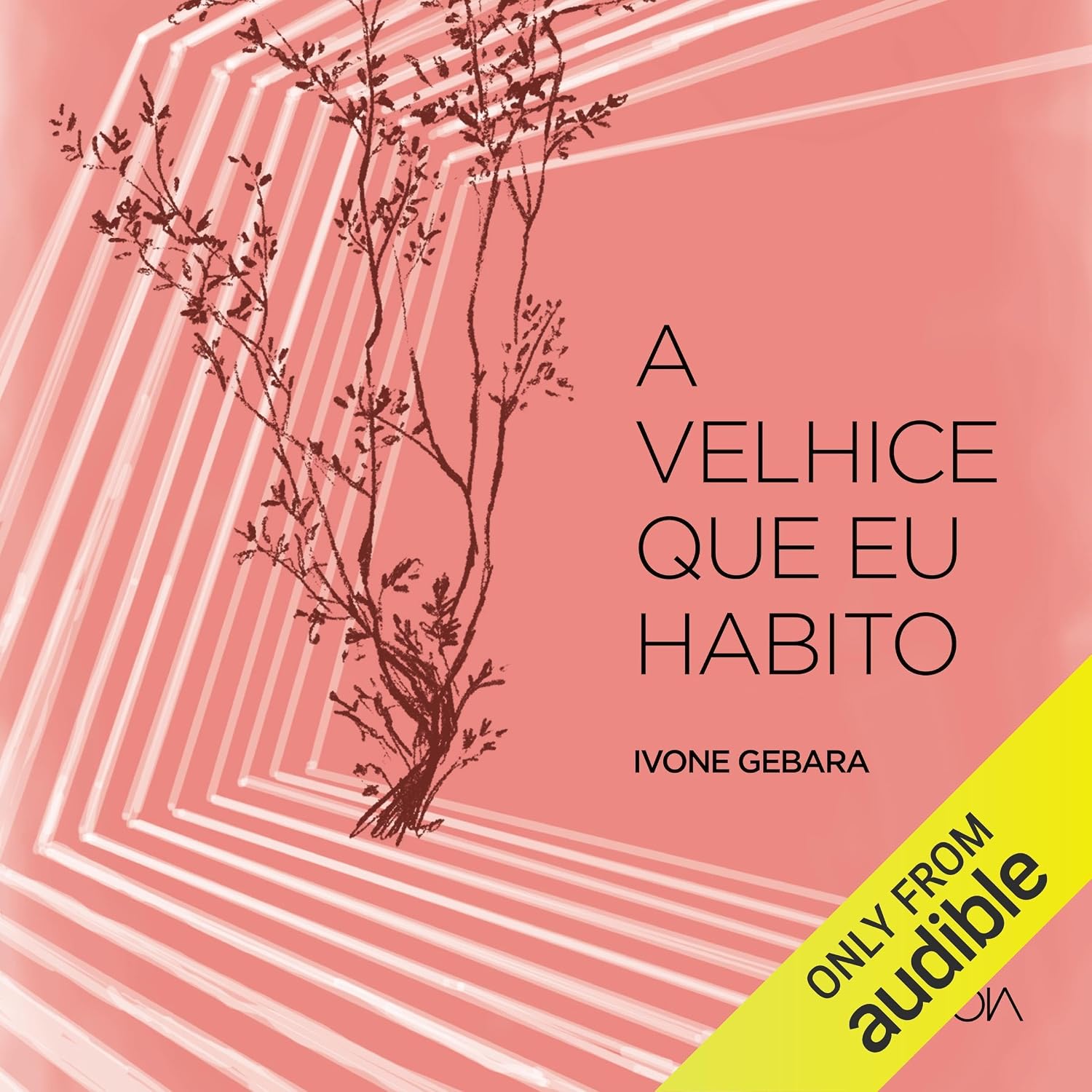 A velhice que eu habito