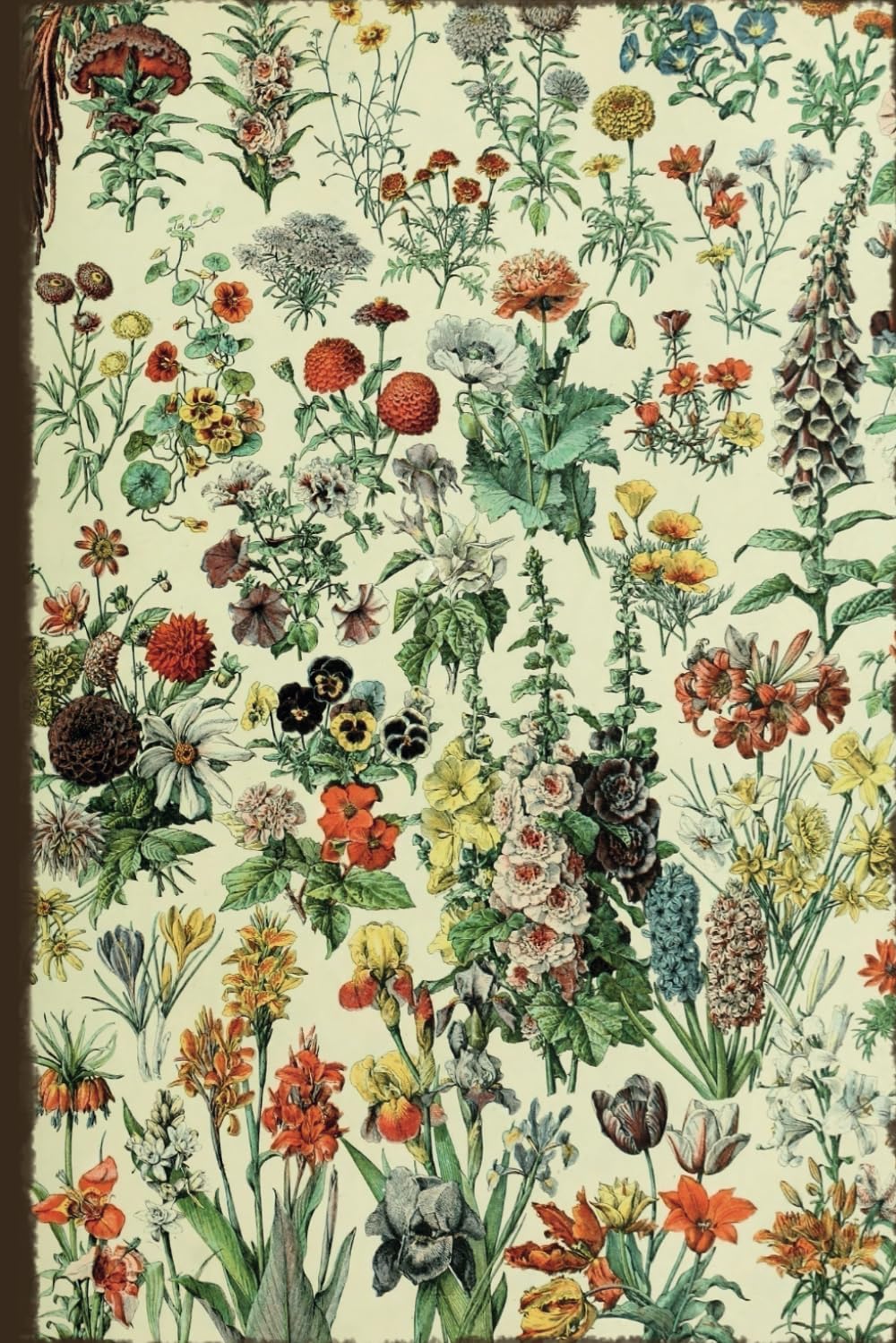 capítulo por capítulo baixar Vintage Botanical Notebook: Vintage Botanical Notebook with Illustrations by Adolphe Millot – Flowers and Herbs: Graph Paper, 5x5 Grid, 6 x 9 Inches, 120 Pages