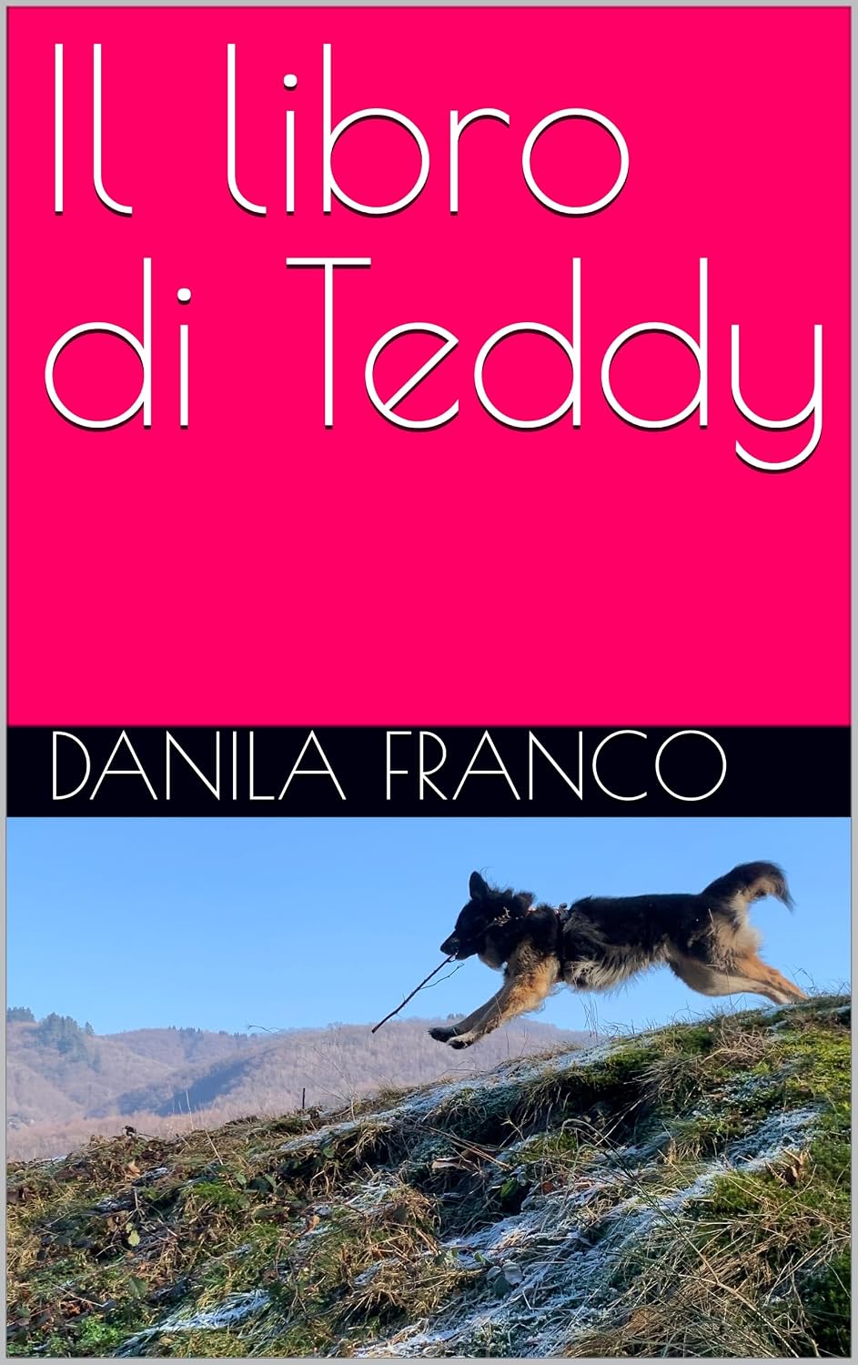 capítulo por capítulo baixar Il libro di Teddy (Italian Edition)