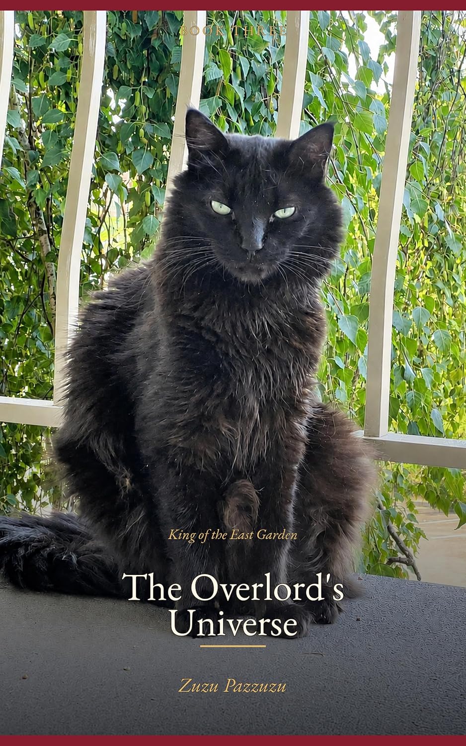 ler totalmente King of the East Garden, The Overlord's Universe: A Cat's Field Notes on Governing Beyond the Garden (Adventures of Zuzu Pazzuzu Book 3) (English Edition)