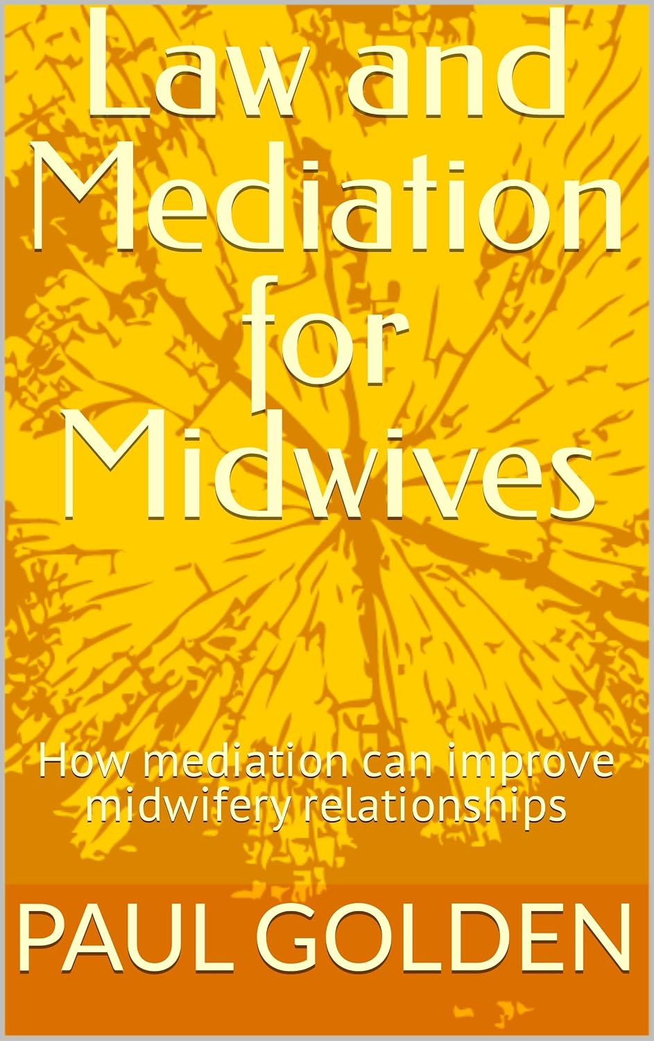 Law and Mediation for Midwives: How mediation can improve midwifery relationships (English Edition) baixar livro de graça