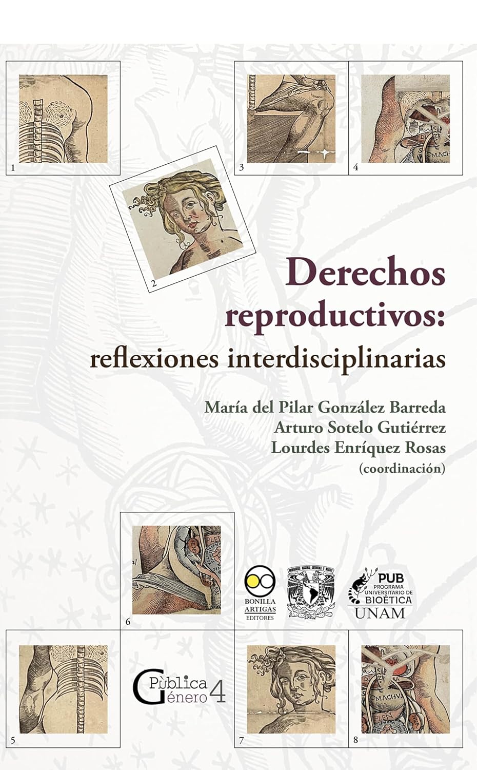 ler totalmente Derechos reproductivos: reflexiones interdisciplinarias (Spanish Edition)