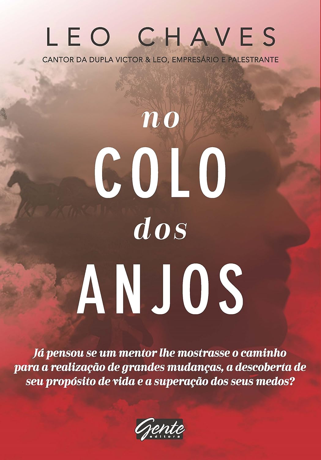 No colo dos anjos: Já pensou se um mentor lhe mostrasse o caminho para a realização de grandes mudanças, a descoberta de seu propósito de vida e a superação dos seus medos? baixar livro de graça