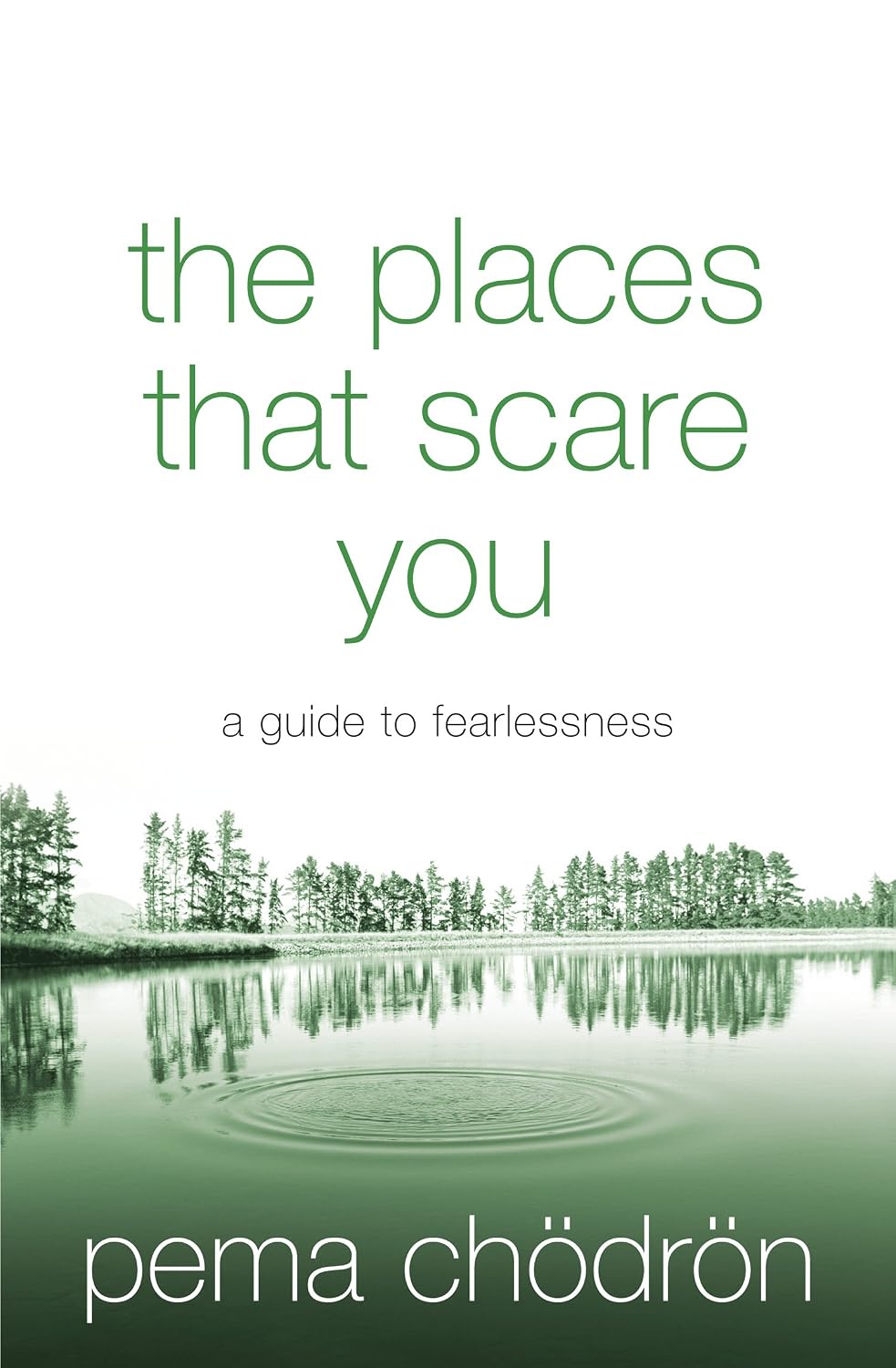 The Places That Scare You: A Buddhist-Inspired Guide to Fearlessness (English Edition) baixar o livro de graça