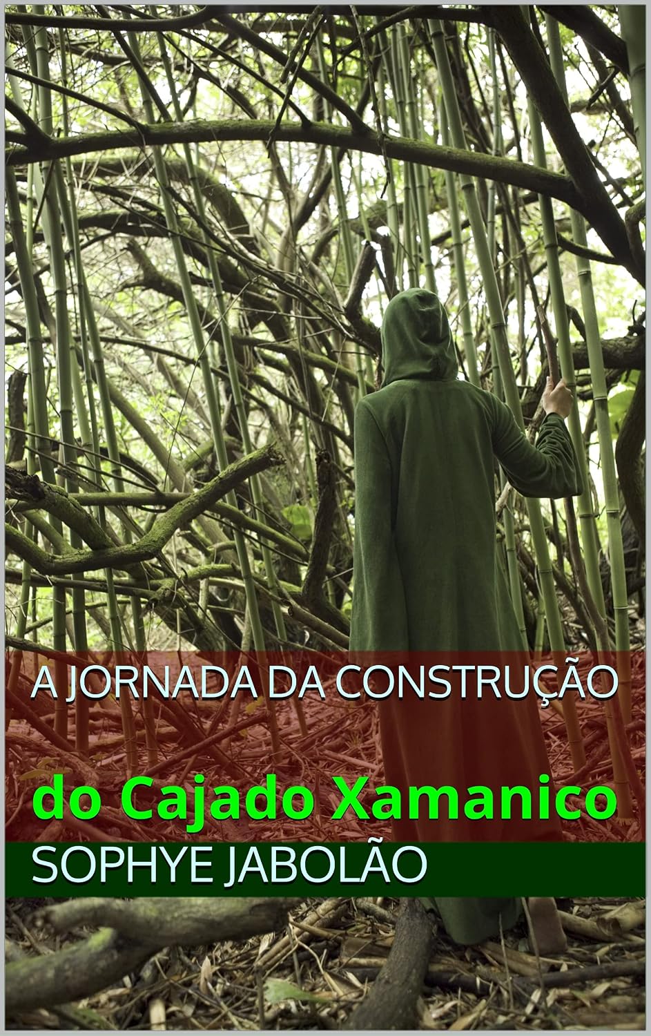 A jornada da construção: do Cajado Xamanico baixar livro de graça