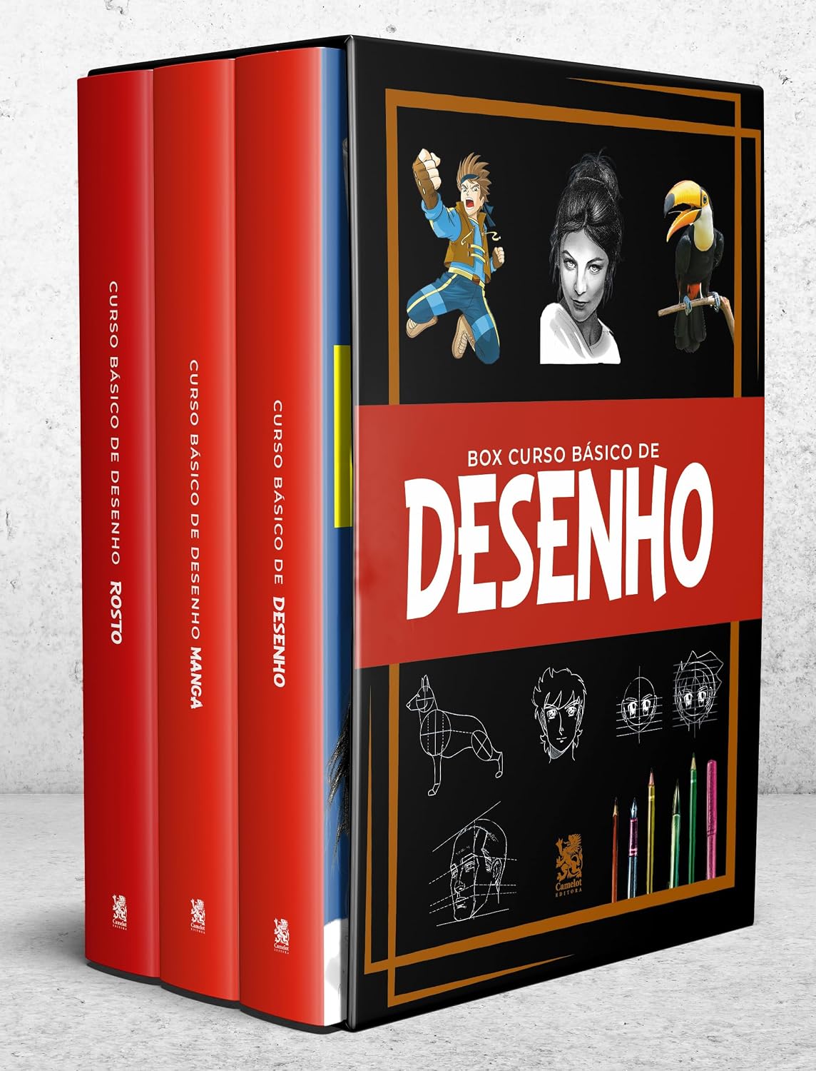 capítulo por capítulo baixar Curso Básico de Desenho - Box com 3 Livros