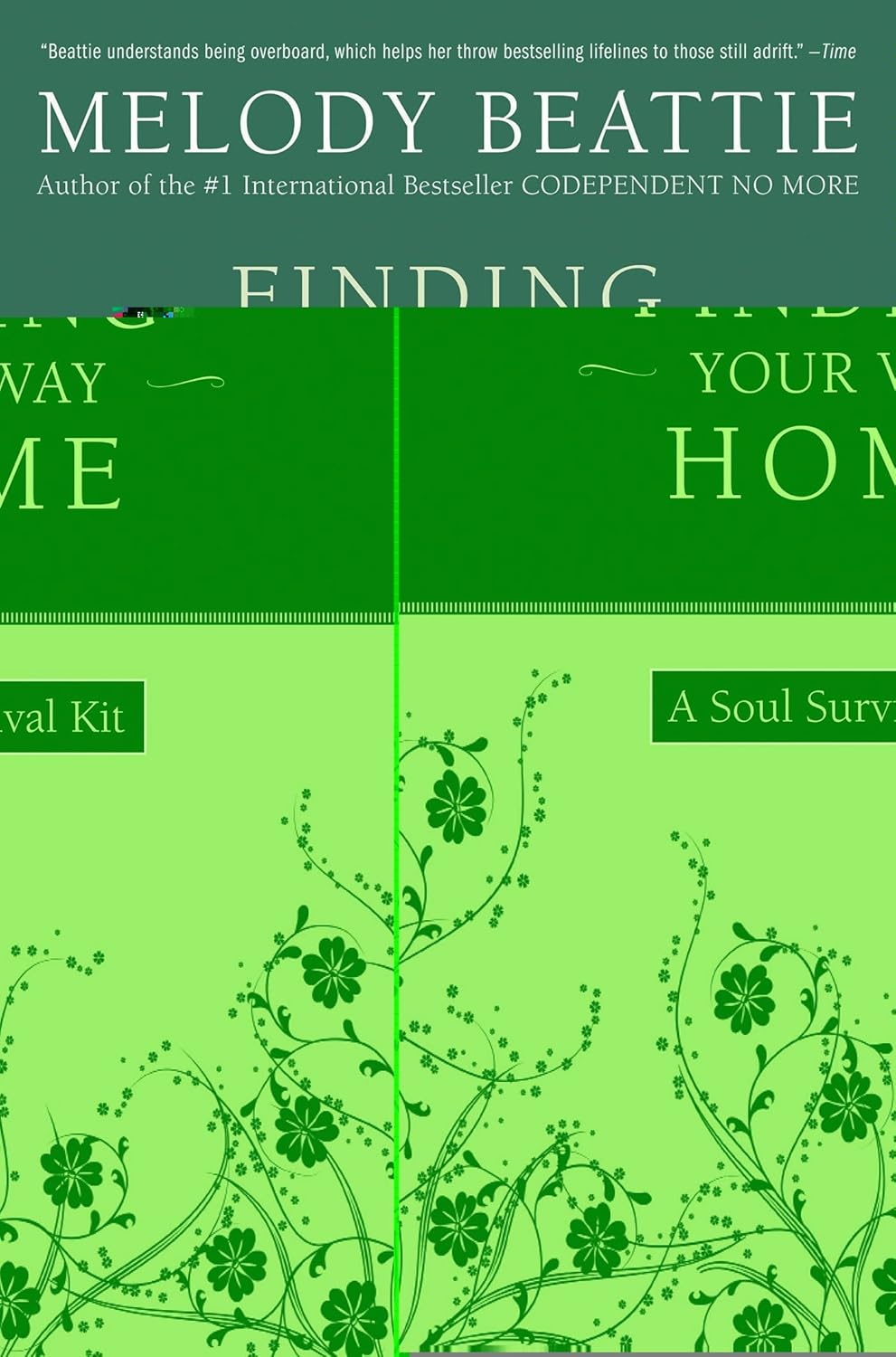 ler totalmente Finding Your Way Home: A Soul Survival Kit (English Edition)