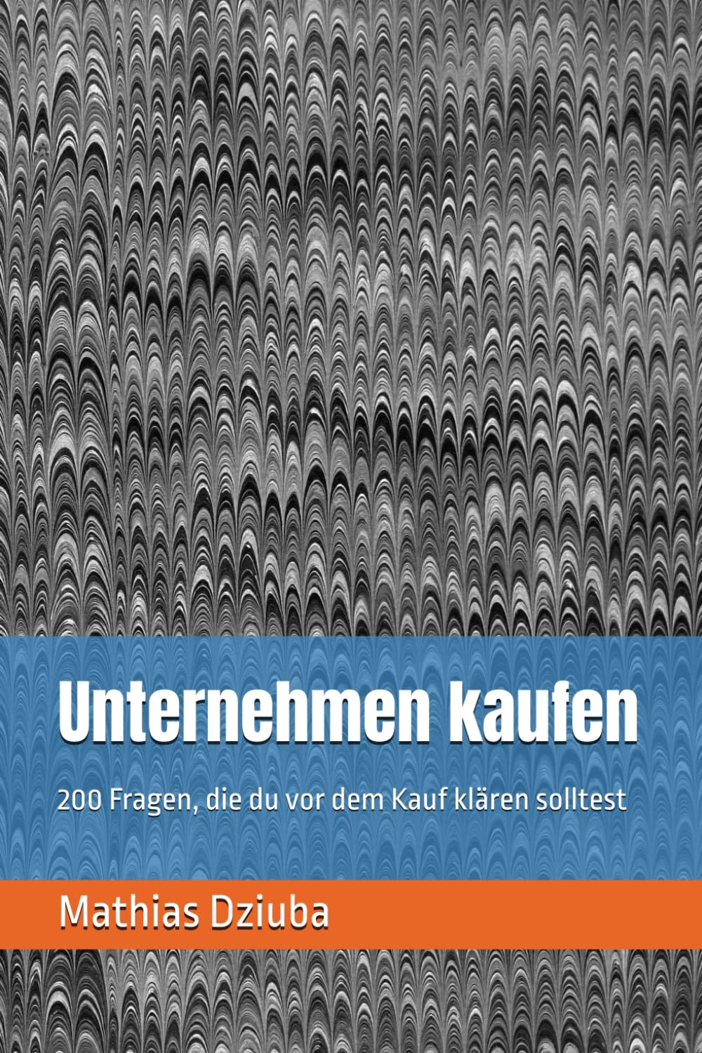 capítulo por capítulo baixar Unternehmen kaufen: 200 Fragen, die du vor dem Kauf klären solltest (German Edition)