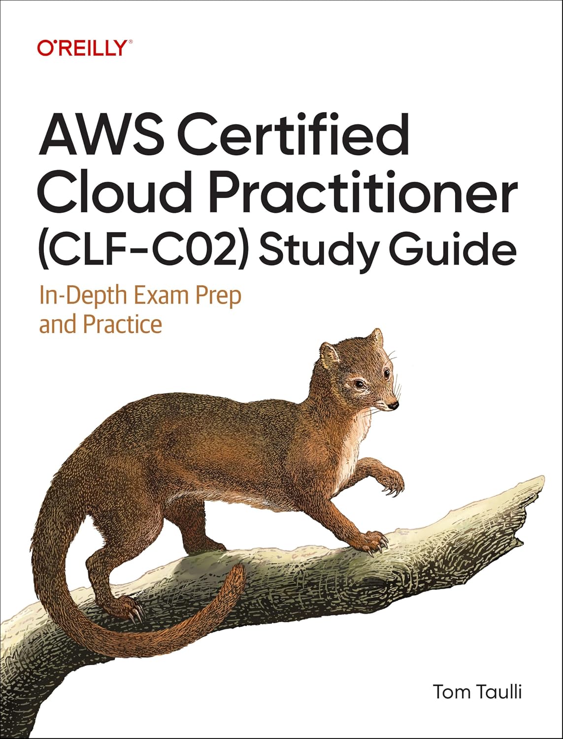 AWS Certified Cloud Practitioner (Clf-C02) Study Guide: In-Depth Exam Prep and Practice baixar livro de graça