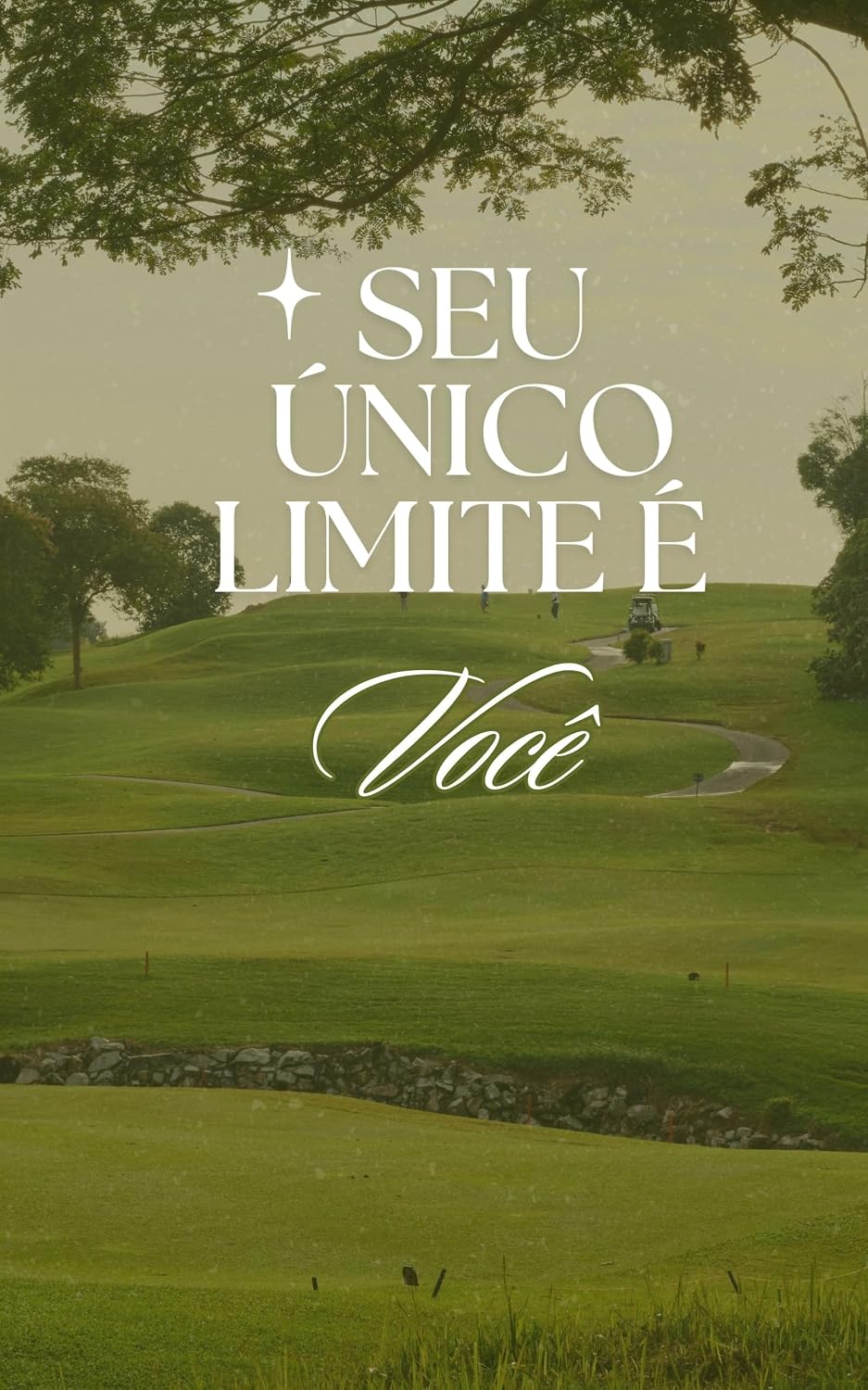 Seu Único Limite é Você: Um Guia Prático para Superar Barreiras e Alcançar Seu Potencial baixar o livro de graça