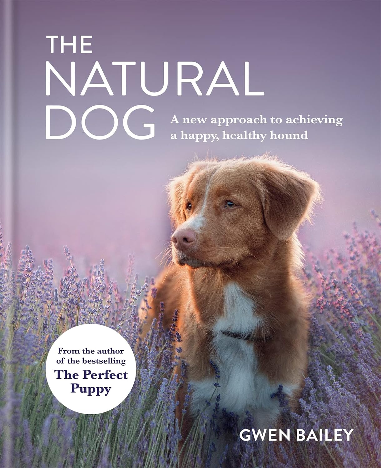The Natural Dog: A New Approach to Achieving a Happy, Healthy Hound (English Edition) baixar livro de graça