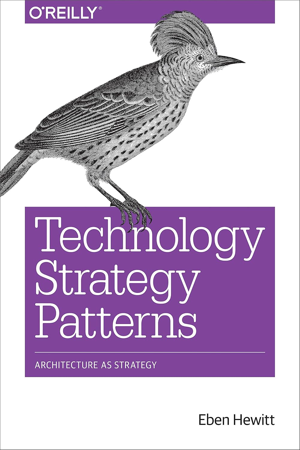 ler totalmente Technology Strategy Patterns: Architecture as Strategy