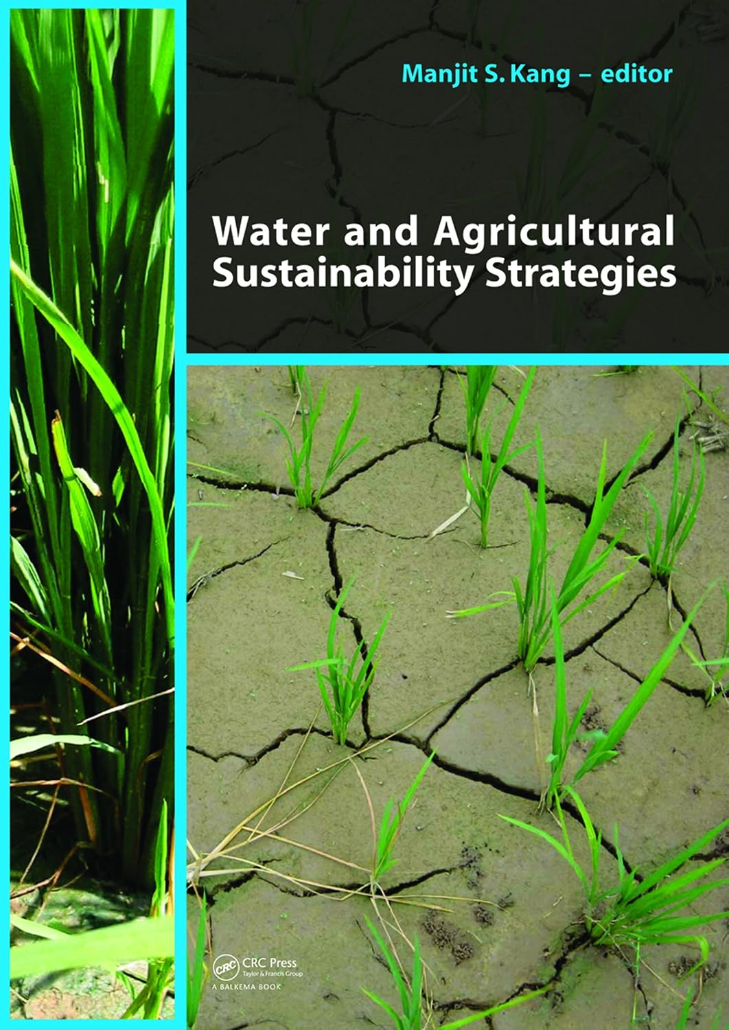 ler totalmente Water and Agricultural Sustainability Strategies (English Edition)