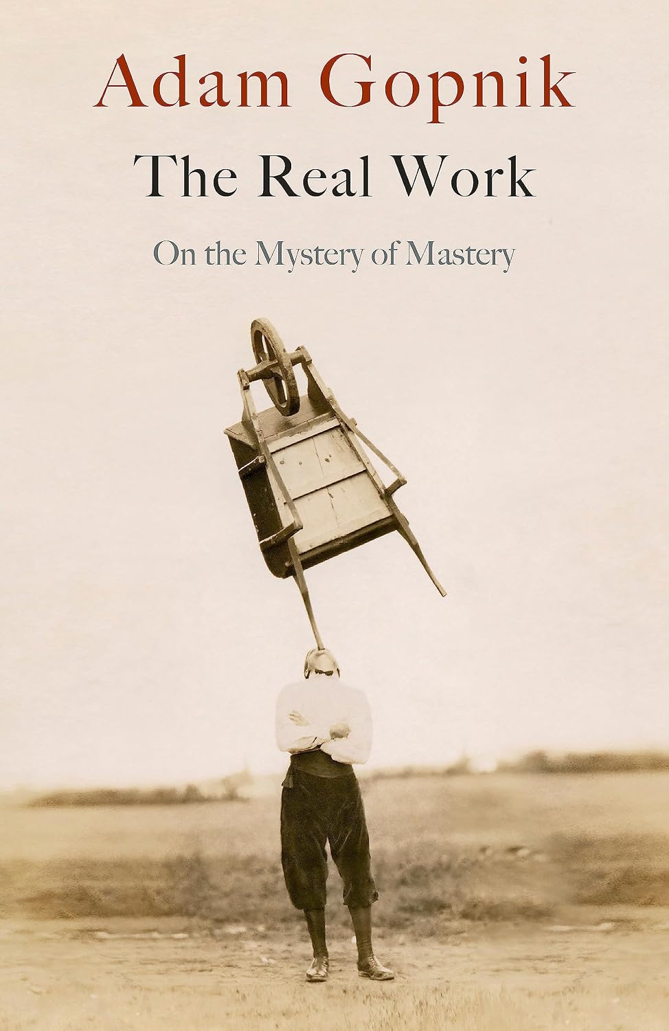 ler totalmente The Real Work: On the Mystery of Mastery