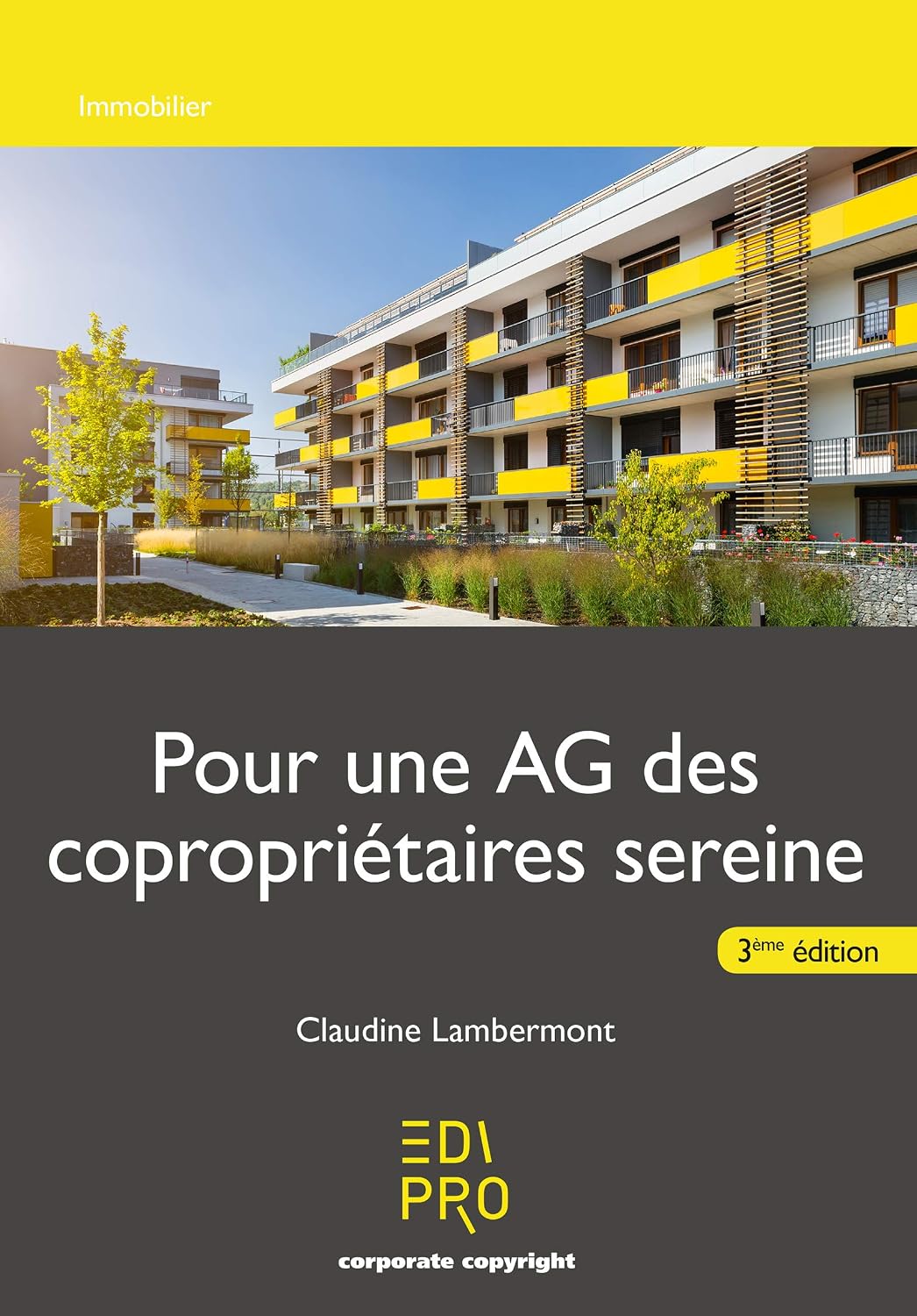 Pour une AG des copropriétaires sereine: Immobilier (French Edition) baixar livro de graça