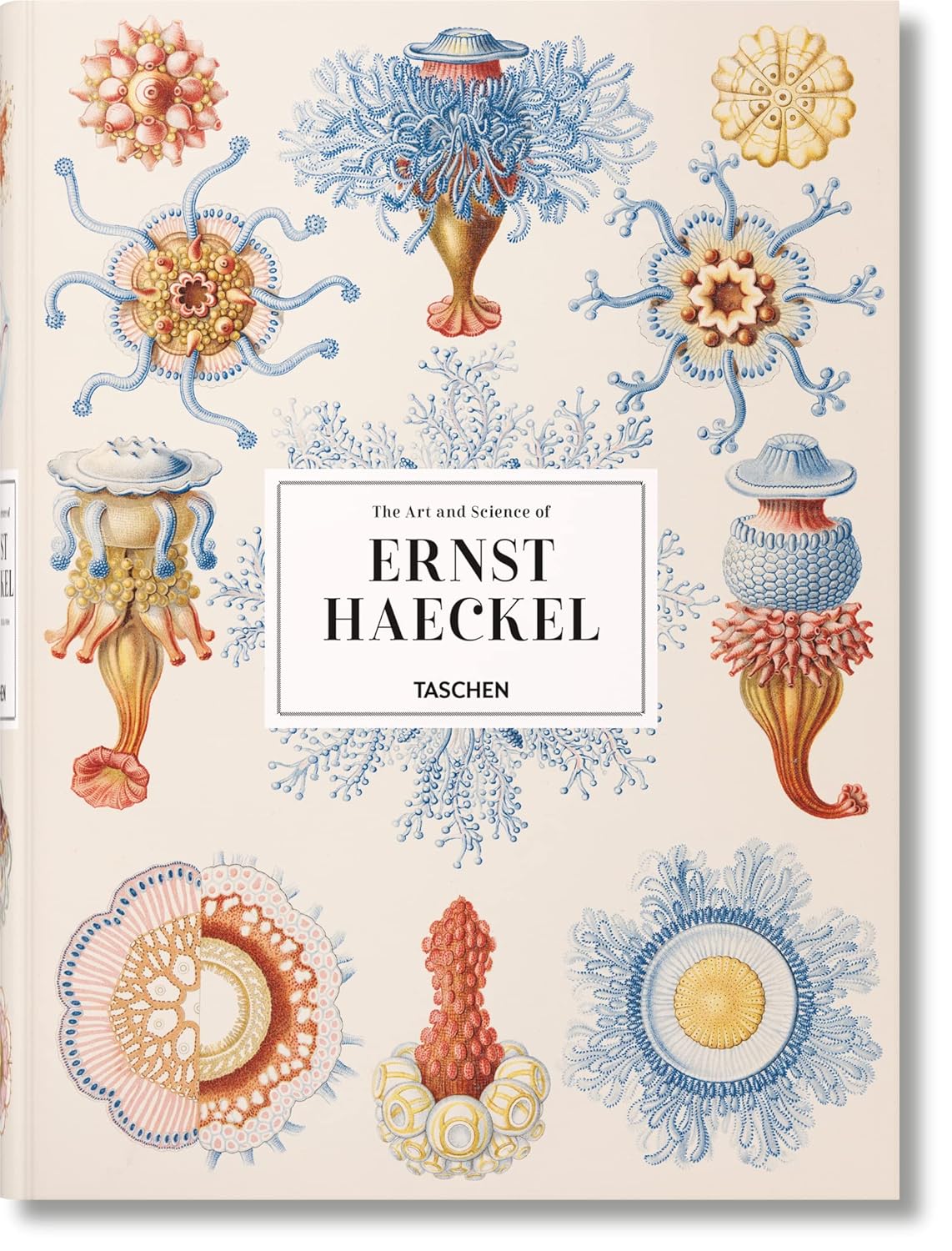 capítulo por capítulo baixar The art and science of ernst haeckel: The Complete Plates