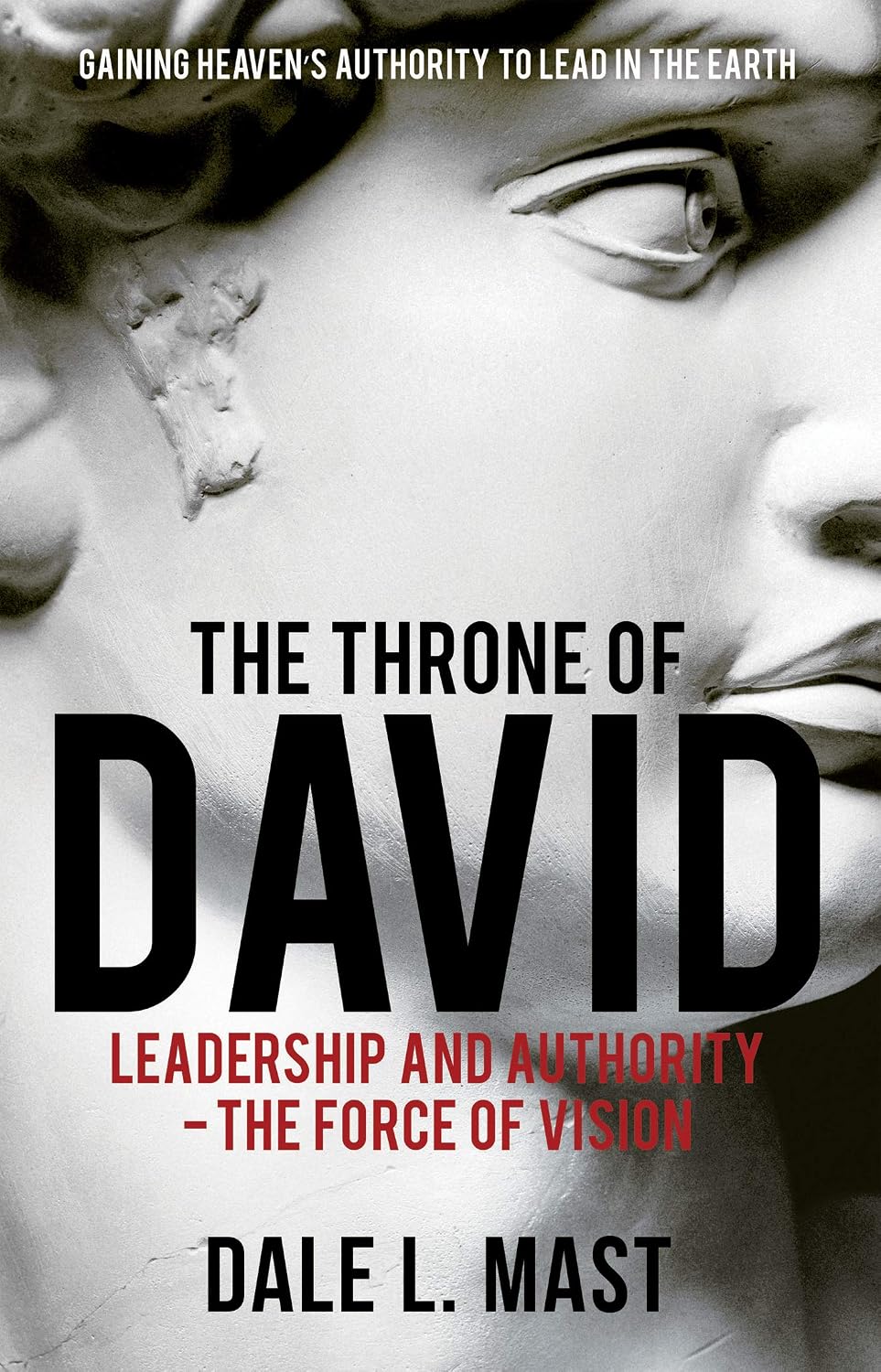 The Throne of David: Leadership and Authority - The Force Of Vision (English Edition) baixar livro de graça