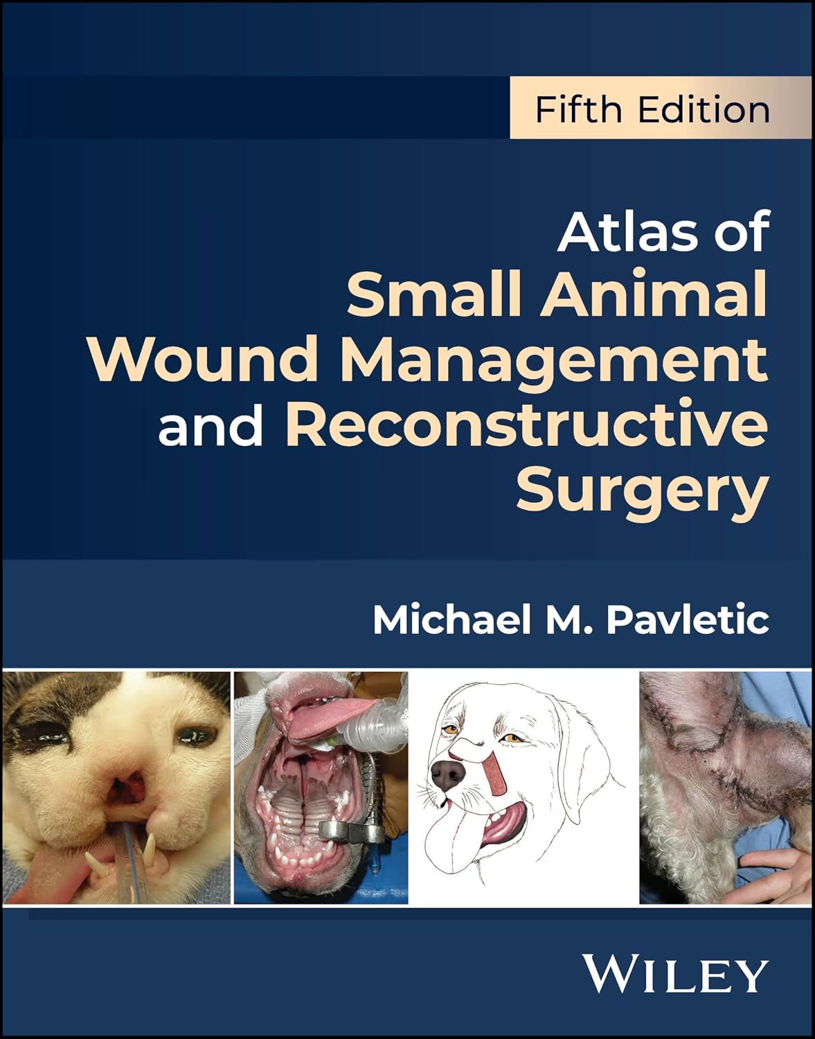 capítulo por capítulo baixar Atlas of Small Animal Wound Management and Reconstructive Surgery