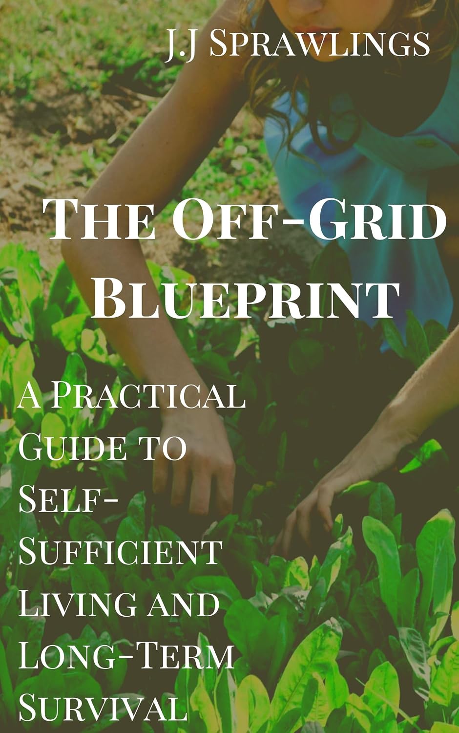 The Off-Grid Blueprint: A Practical Guide to Self-Sufficient Living and Long-Term Survival (English Edition) baixar livro de graça