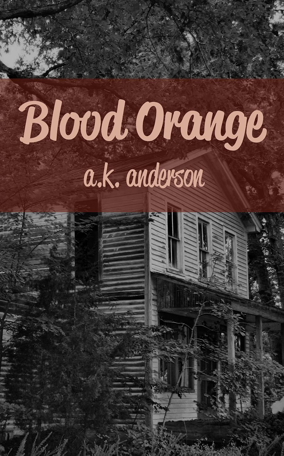 Blood Orange (English Edition) baixar livro de graça