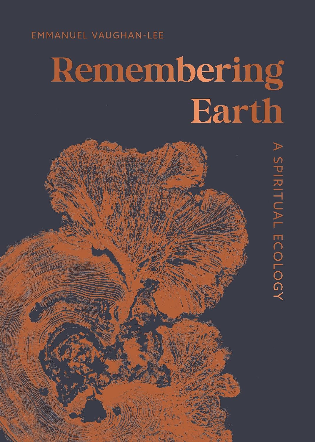 capítulo por capítulo baixar Remembering Earth: A Spiritual Ecology