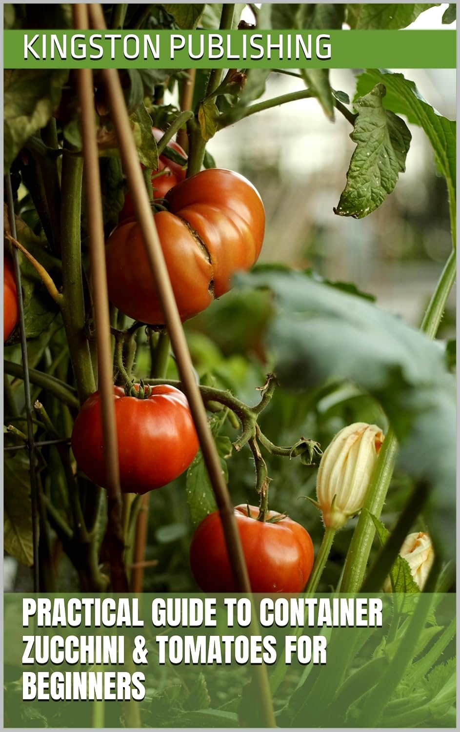 capítulo por capítulo baixar Practical Guide to Tasty Container Zucchini & Tomatoes for Beginners (Indoor Havens) (English Edition)