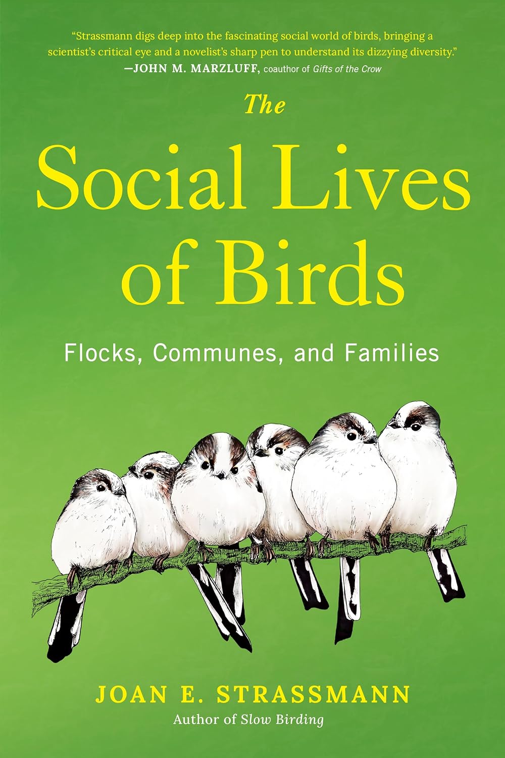The Social Lives of Birds: Flocks, Communes, and Families (English Edition) baixar o livro de graça