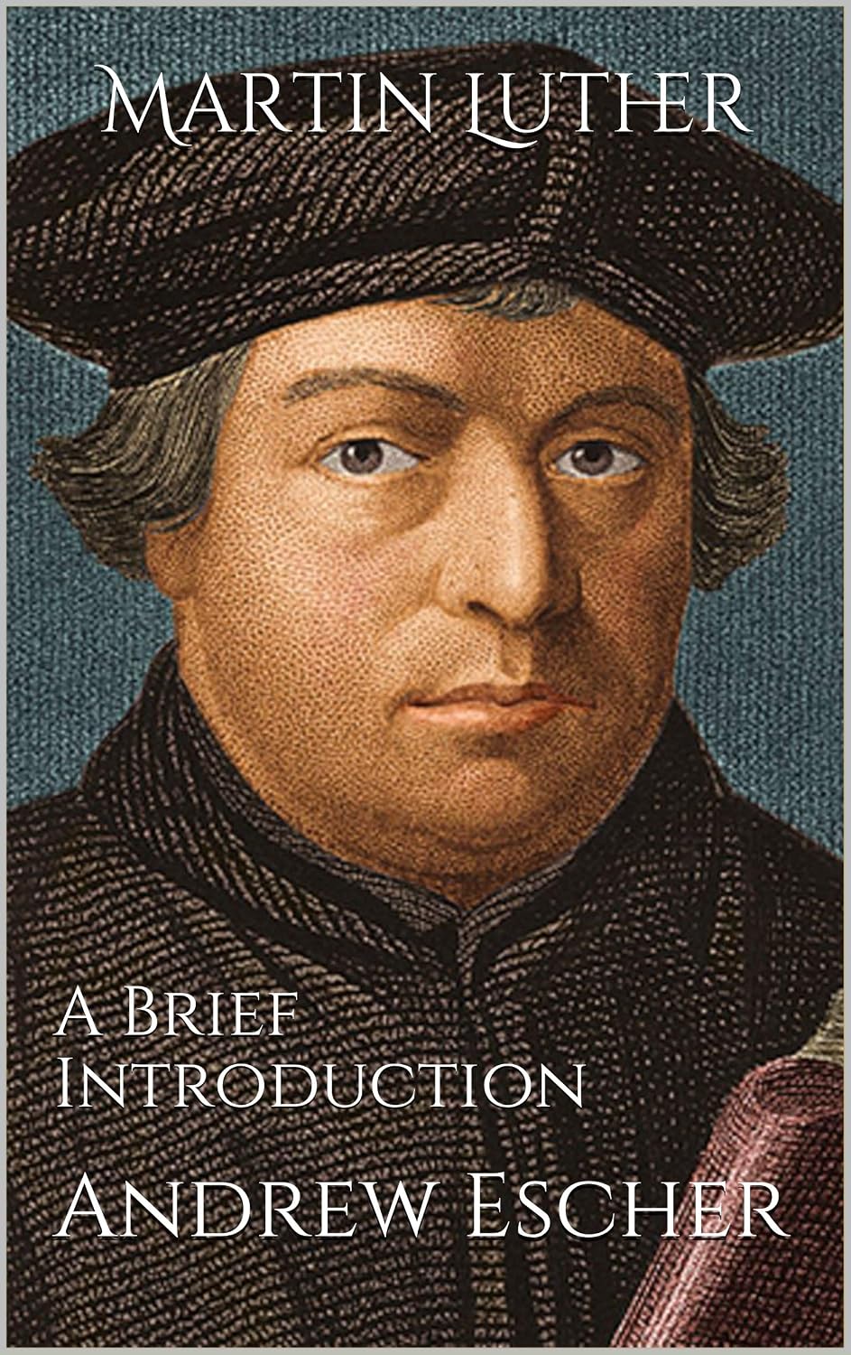 Martin Luther: A Brief Introduction (English Edition) baixar livro de graça