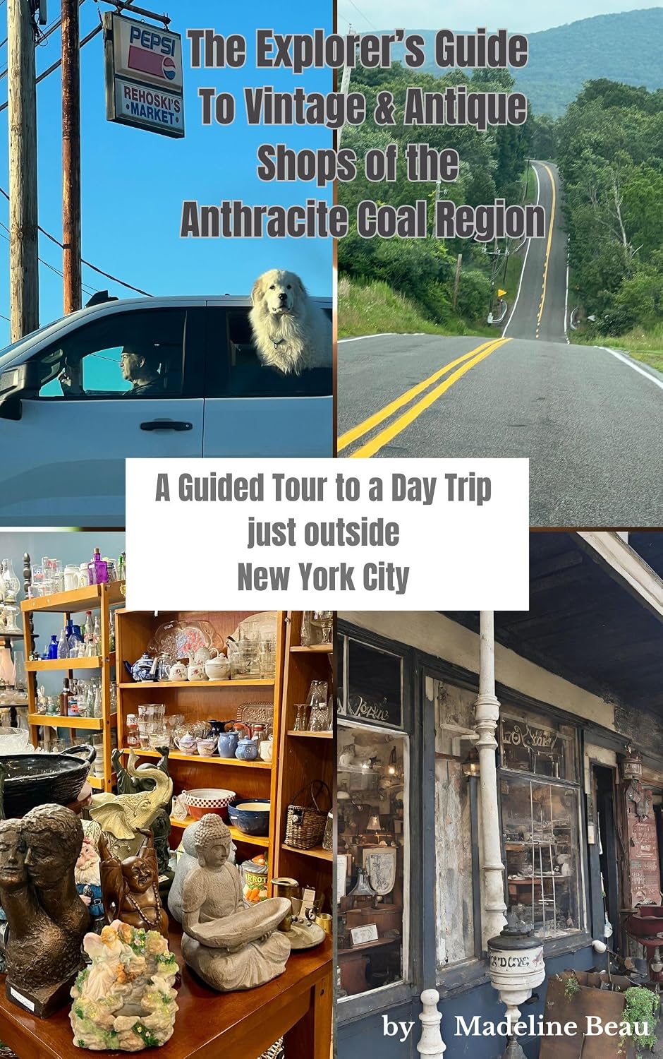 ler totalmente The Explorer's Guide to Vintage and Antique Shops of the Anthracite Coal Region: A Guided Tour to a Day Trip just outside New York City (English Edition)