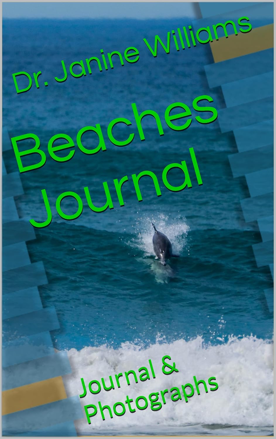 ler totalmente Beaches Journal: Journal & Photographs (English Edition)