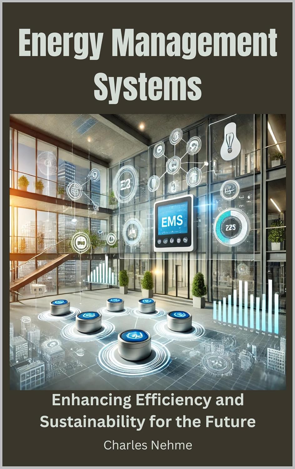 Energy Management Systems: Enhancing Efficiency and Sustainability for the Future (English Edition)