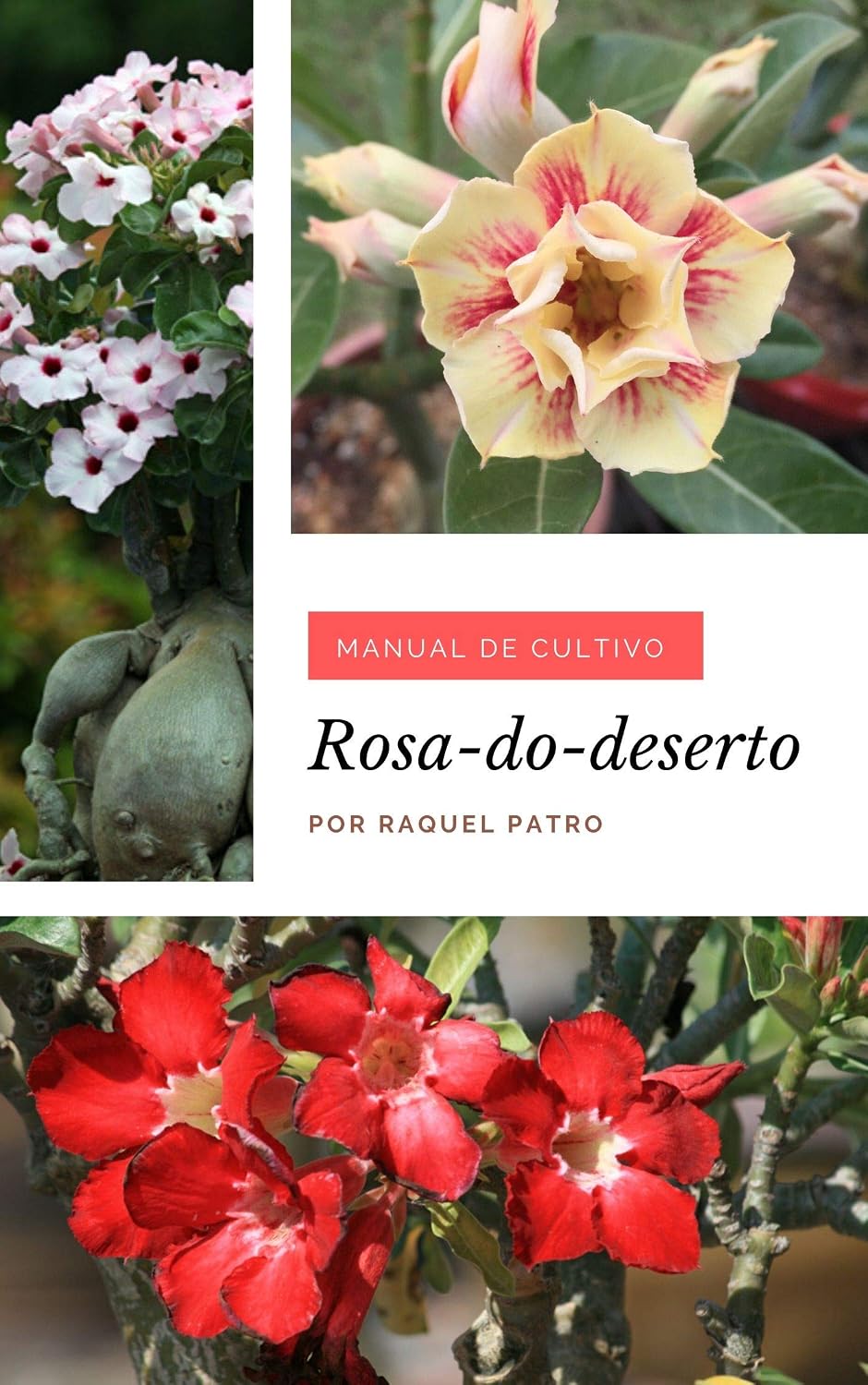 Manual de Cultivo: Rosa-do-deserto baixar o livro de graça