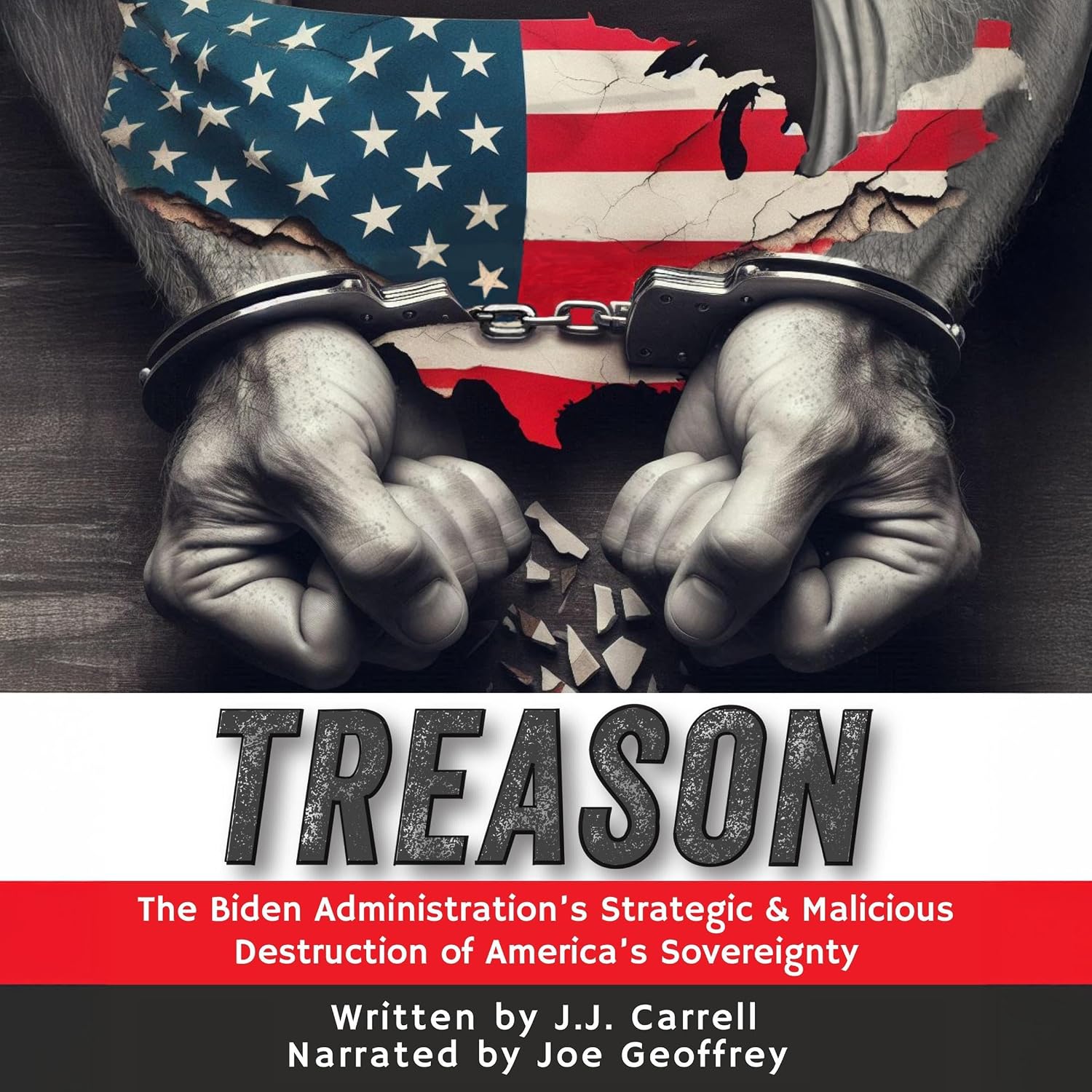 TREASON: The Biden Administration’s Strategic and Malicious Destruction of America’s Sovereignty baixar o livro de graça