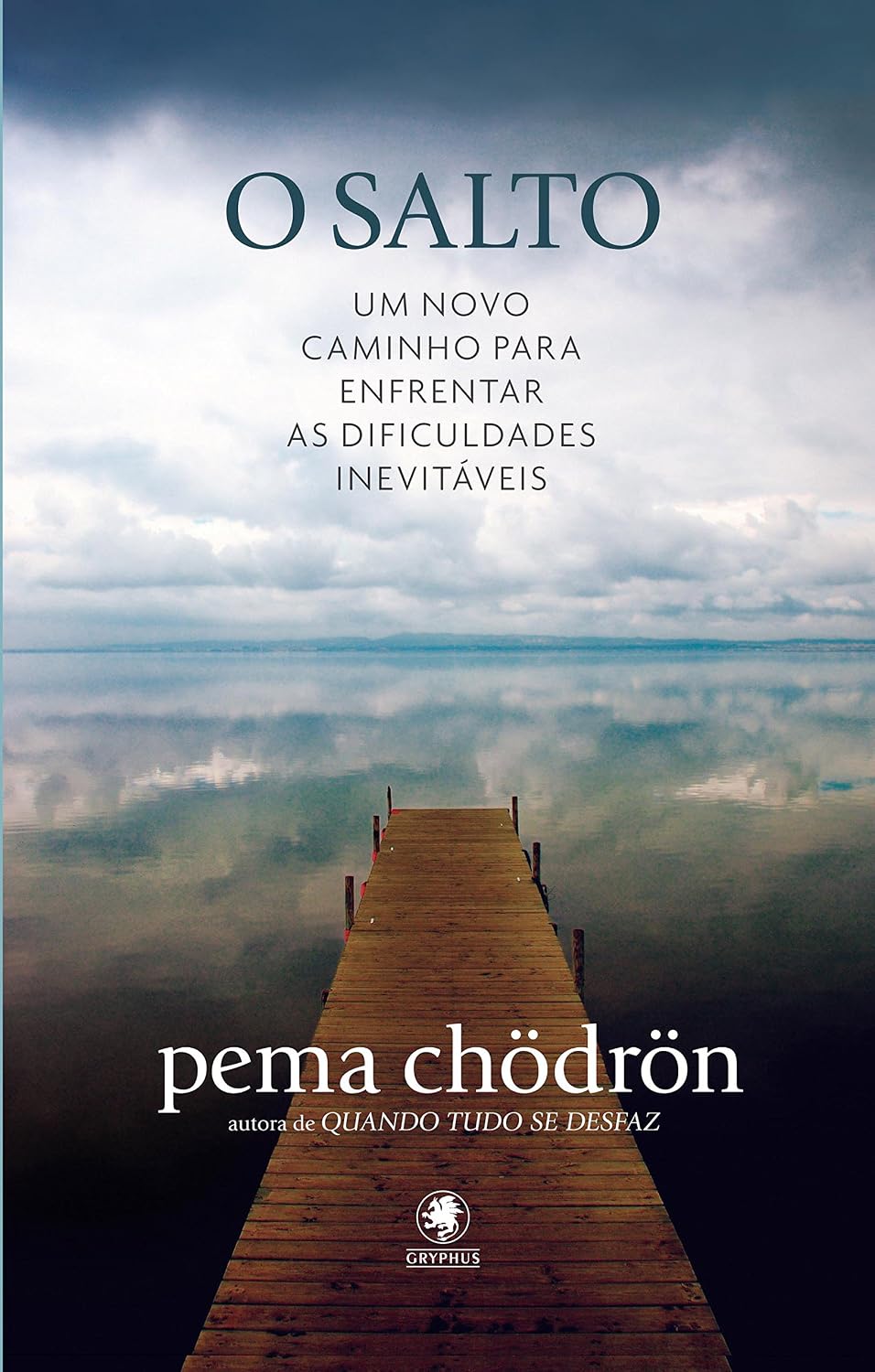 O Salto: Um novo caminho para enfrentar as dificuldades inevitáveis baixar livro de graça