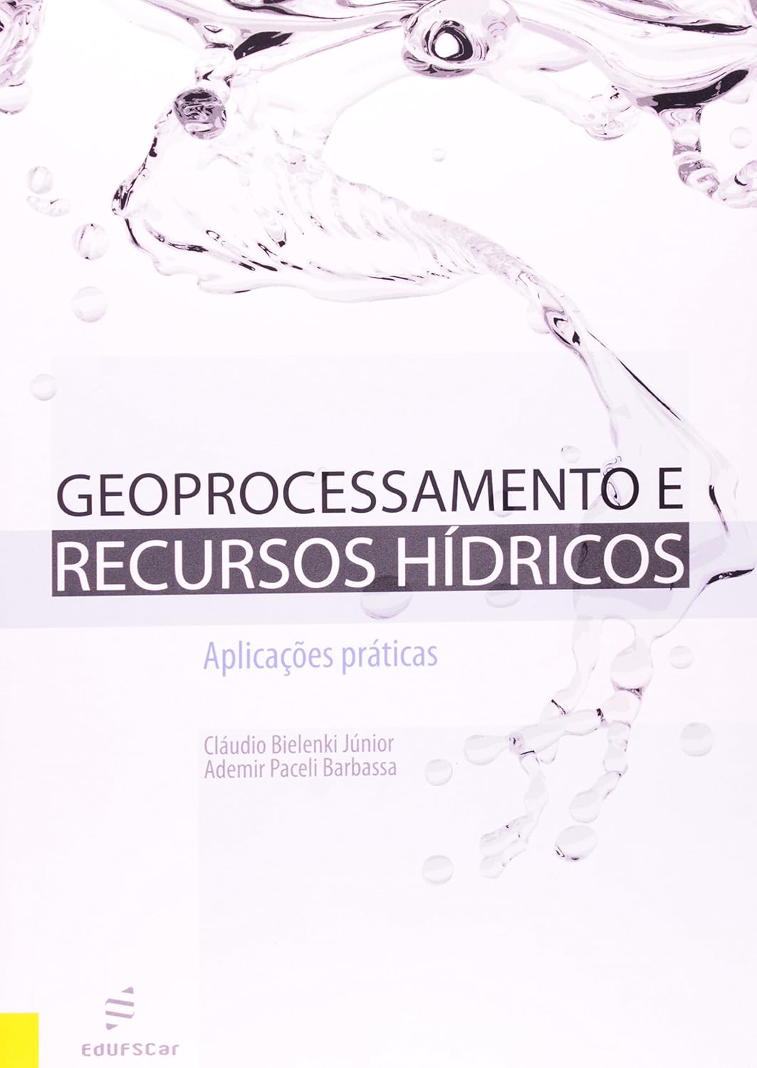 Geoprocessamento e recursos hídricos: aplicações práticas baixar o livro de graça