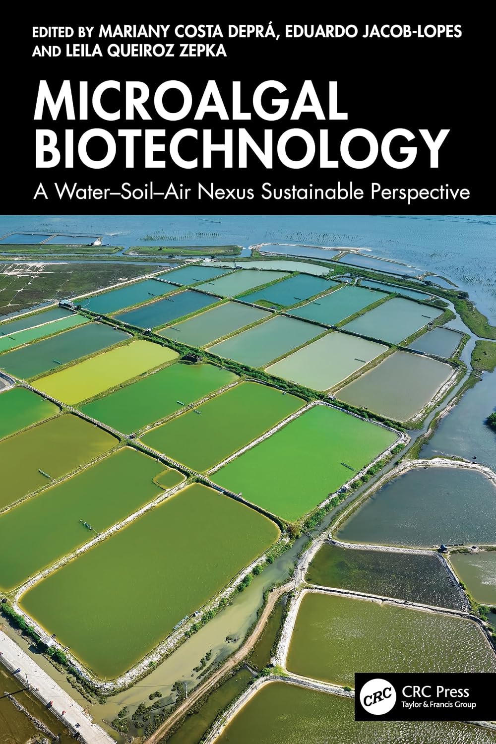 ler totalmente Microalgal Biotechnology: A Water-Soil-Air Nexus Sustainable Perspective (English Edition)