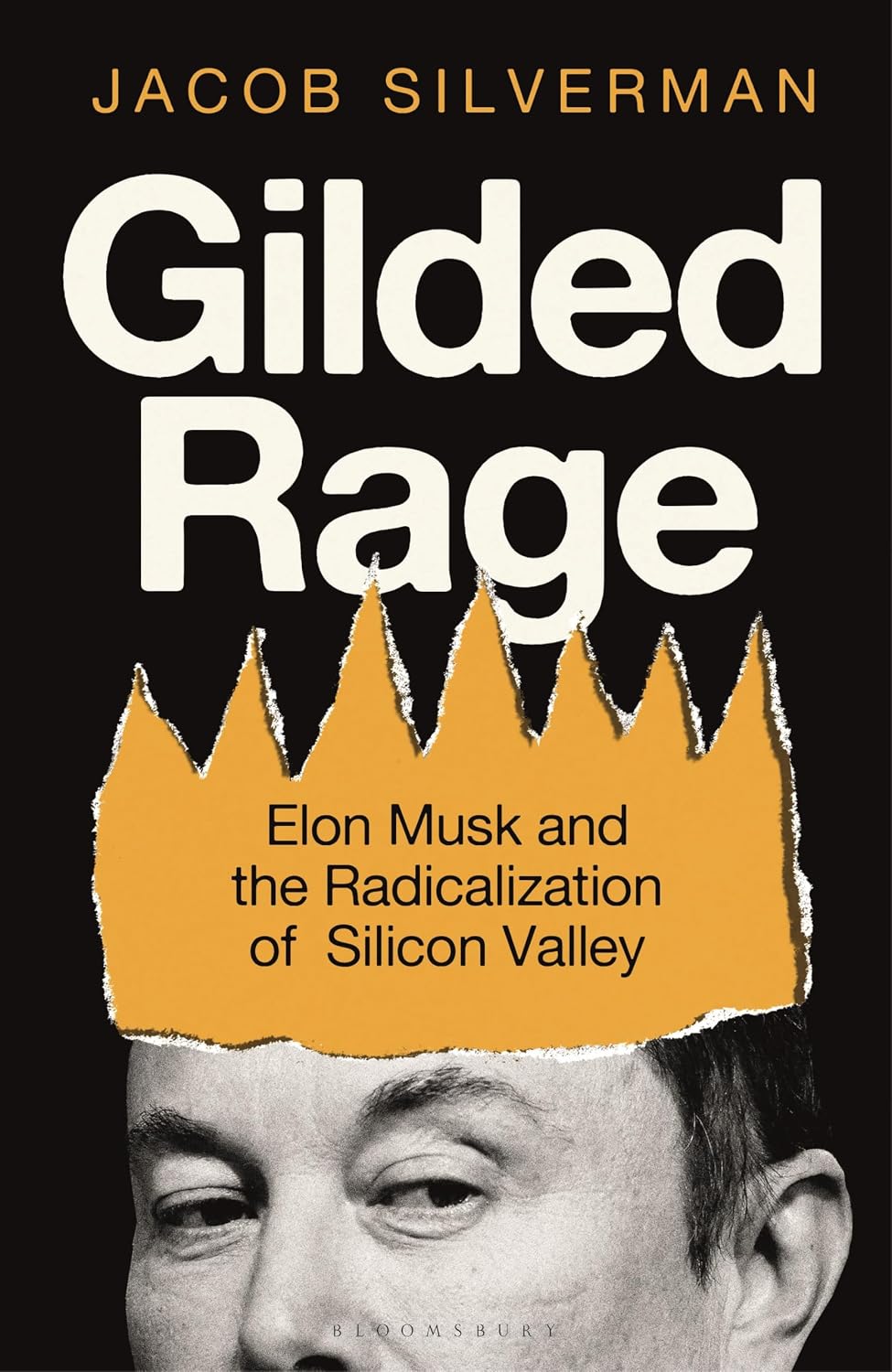 Gilded Rage: Elon Musk and the Radicalization of Silicon Valley (English Edition) baixar o livro de graça