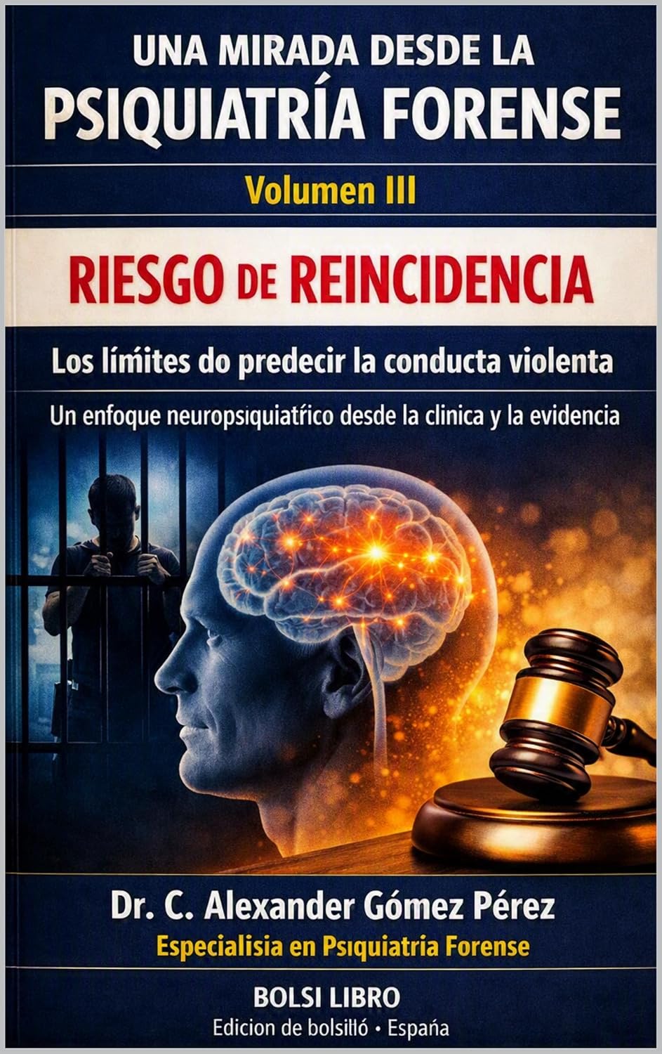 RIESGO DE REINCIDENCIA: Los límites de predecir la conducta violenta (Una mirada desde la Psiquiatria Forense nº 82) (Spanish Edition) baixar o livro de graça