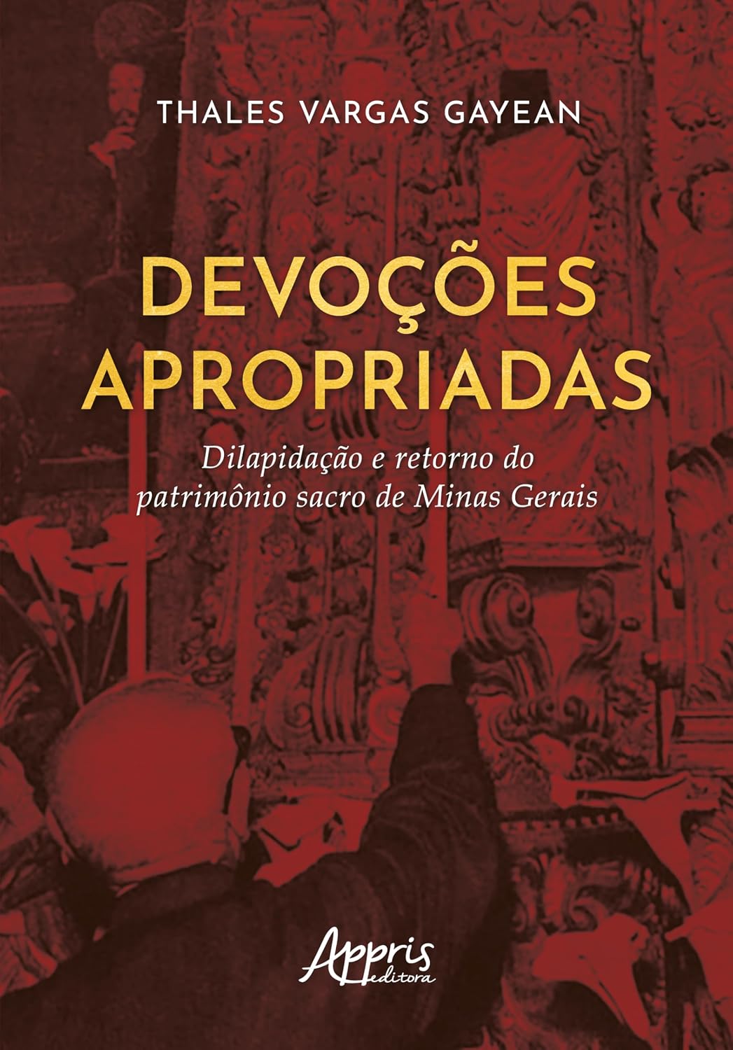 ler totalmente Devoções Apropriadas: Dilapidação e Retorno do Patrimônio Sacro de Minas Gerais