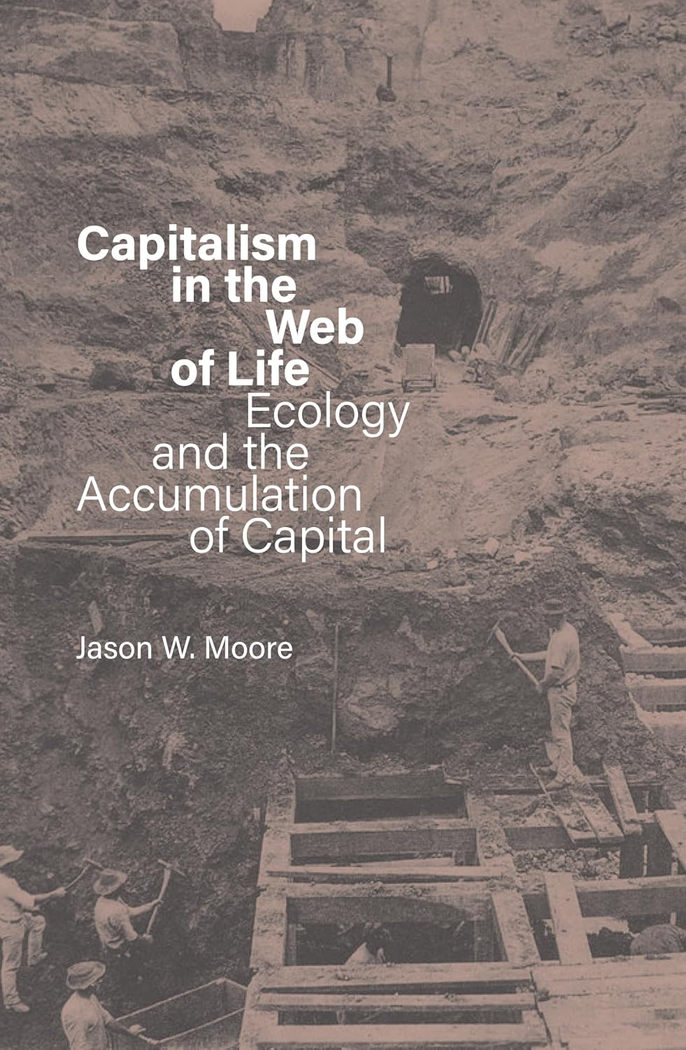 capítulo por capítulo baixar Capitalism in the Web of Life: Ecology and the Accumulation of Capital (English Edition)