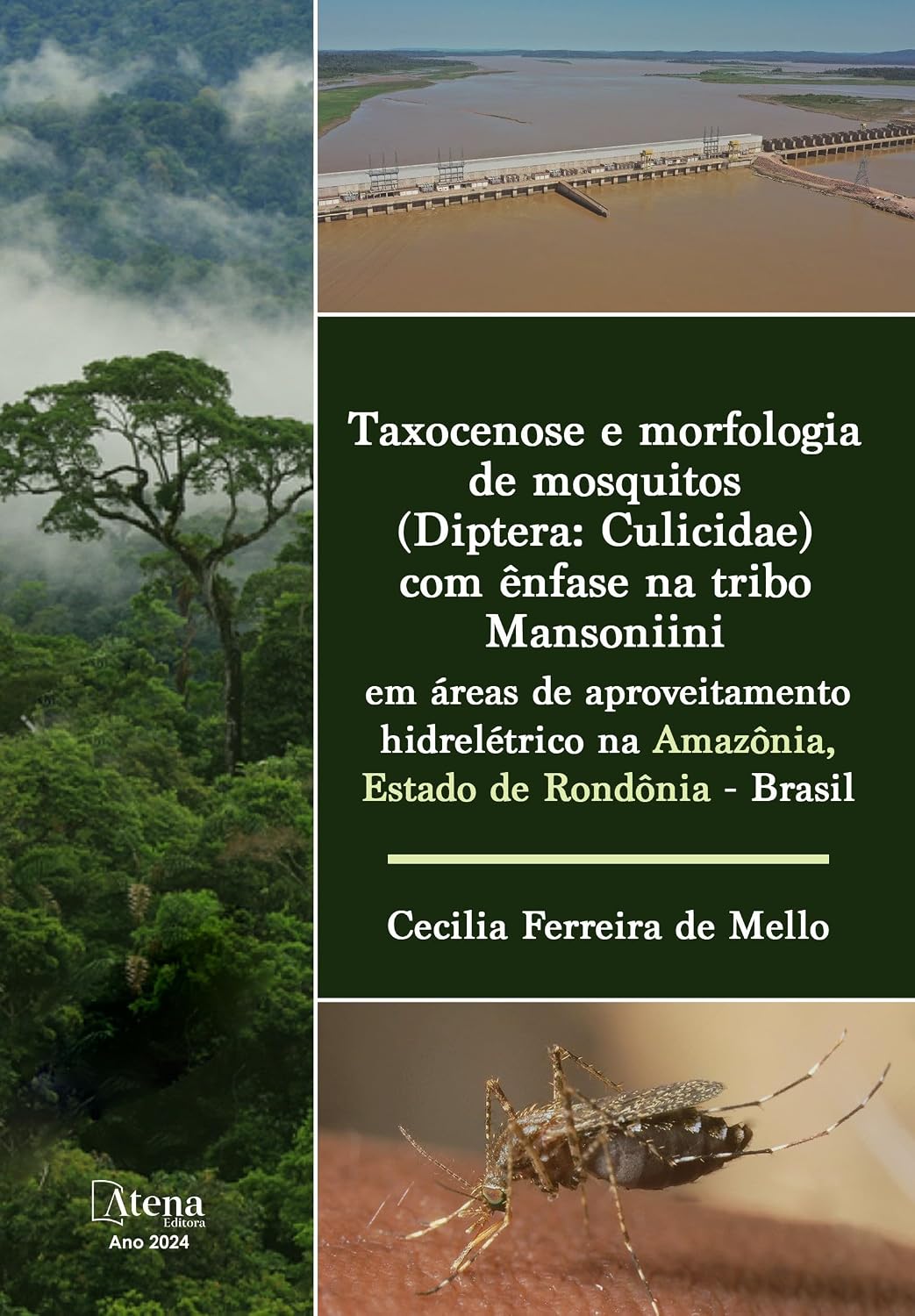 ler totalmente Taxocenose e morfologia de mosquitos (Diptera: Culicidae) com ênfase na tribo Mansoniini em áreas de aproveitamento hidrelétrico na Amazônia, Estado de Rondônia - Brasil