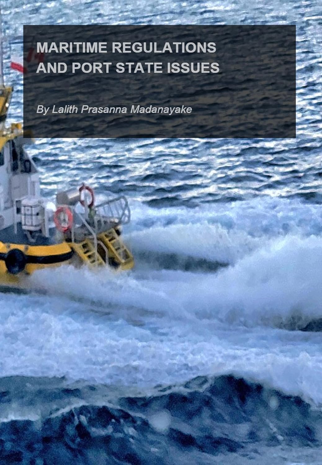 Maritime Regulations and Port State Issues (English Edition) baixar o livro de graça