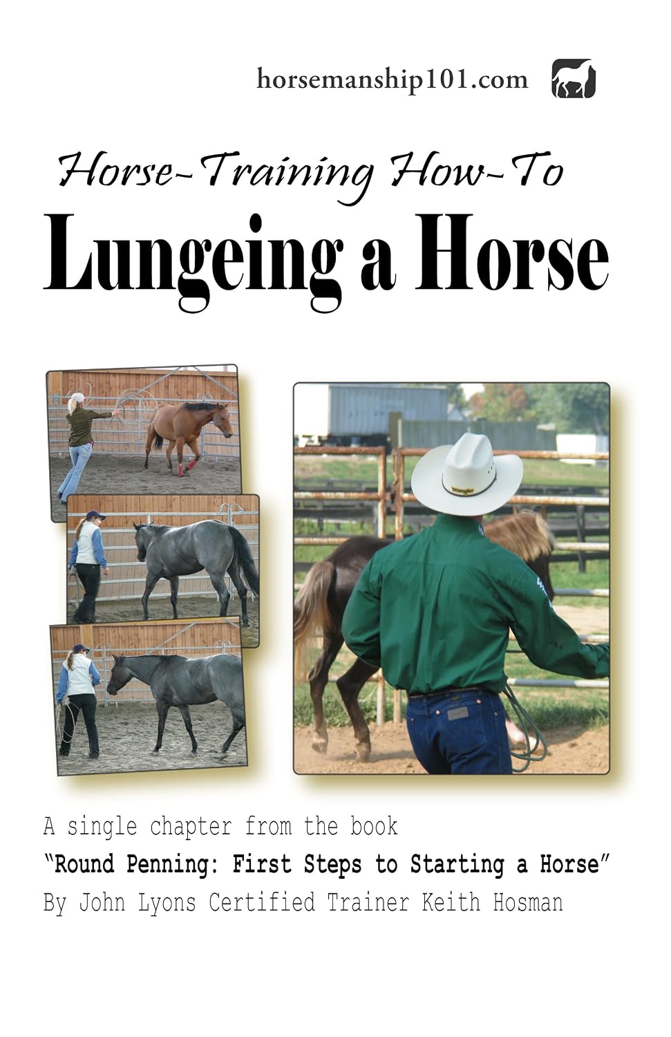 Lungeing a Horse (Round Penning Book 9) (English Edition) baixar o livro de graça