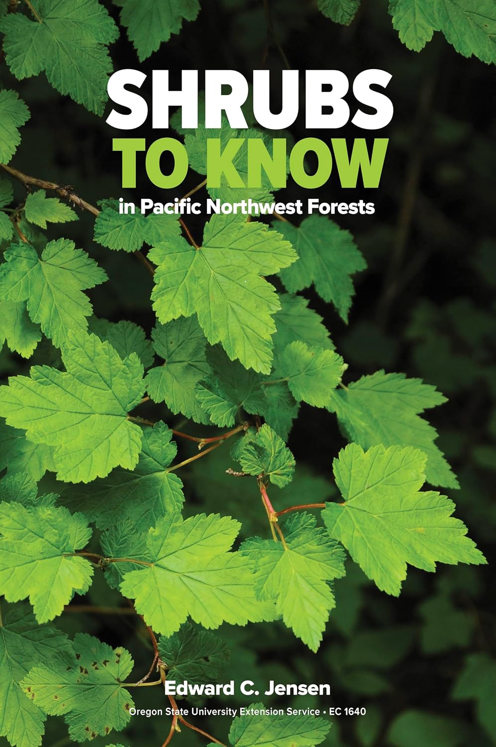 Shrubs to Know in Pacific Northwest Forests baixar o livro de graça