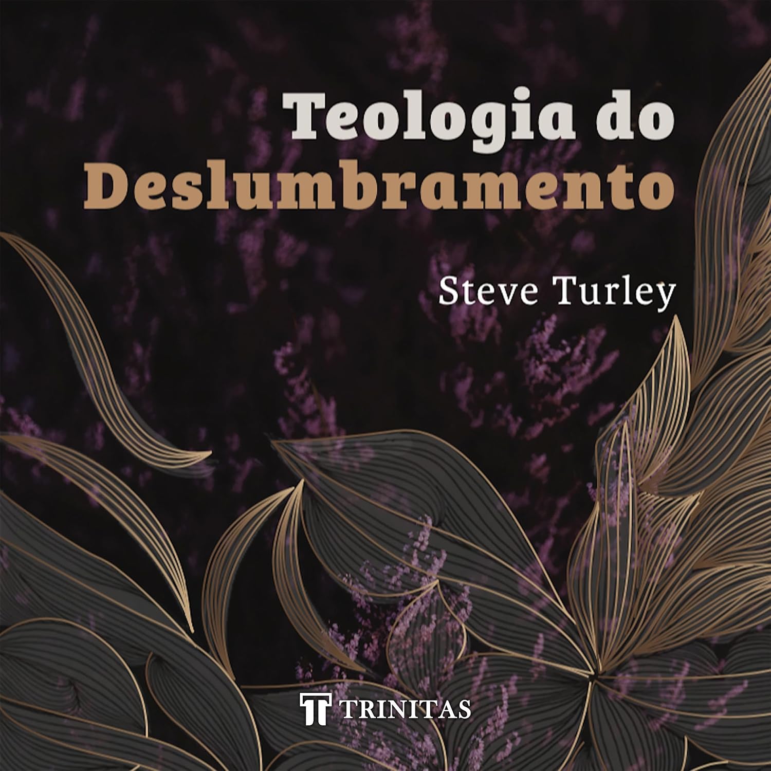 capítulo por capítulo baixar Teologia do Deslumbramento