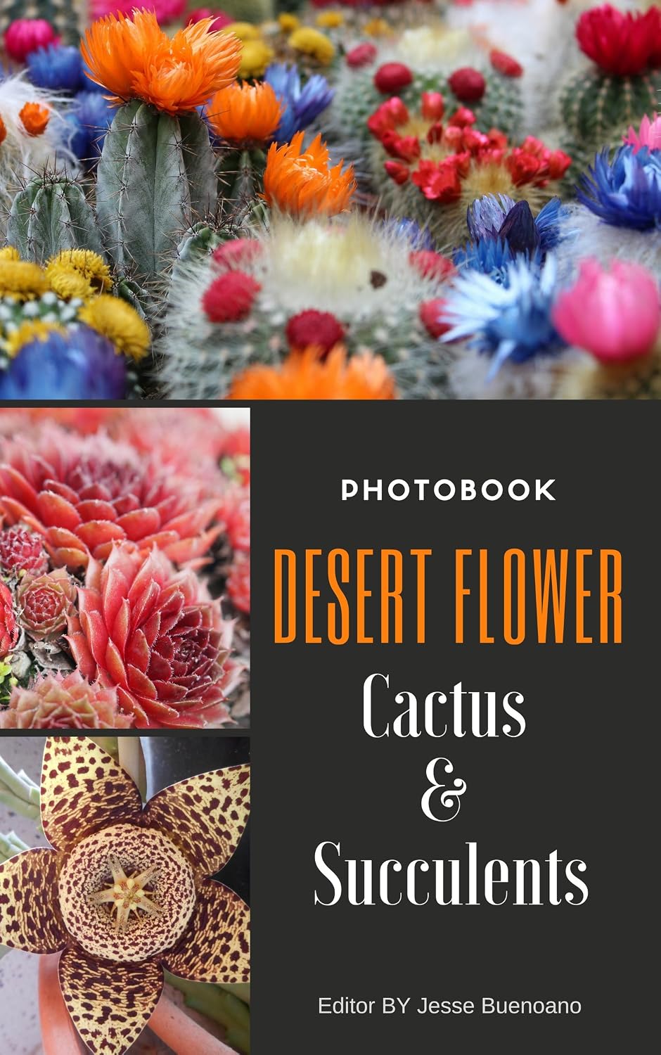 Photobook Desert Flower: 50 Photo Cactus & Succulents Creative Ideas Make Your Own Stylish Garden for beginners guide, beginners gardening (Beginners Gardening Photo Books) (English Edition) baixar livro de graça