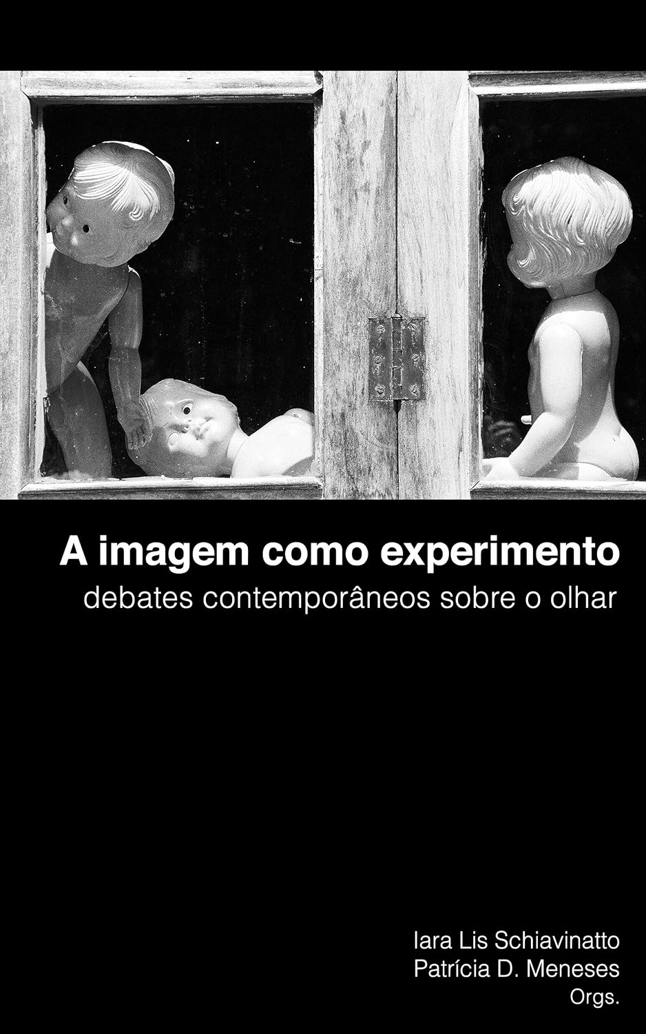 ler totalmente A imagem como experimento: debates contemporâneos sobre o olhar
