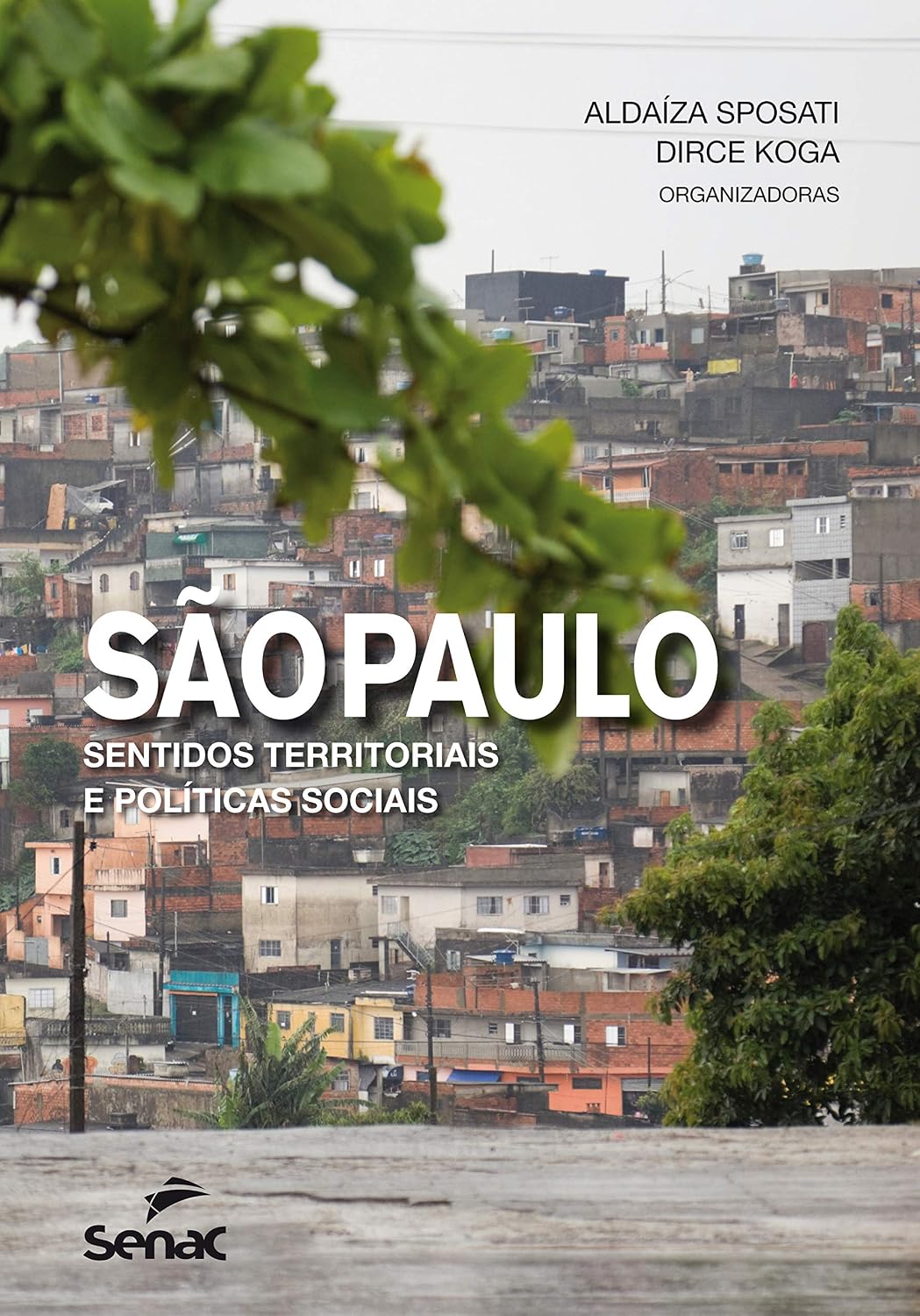 São Paulo: Sentidos territoriais e políticas sociais baixar livro de graça