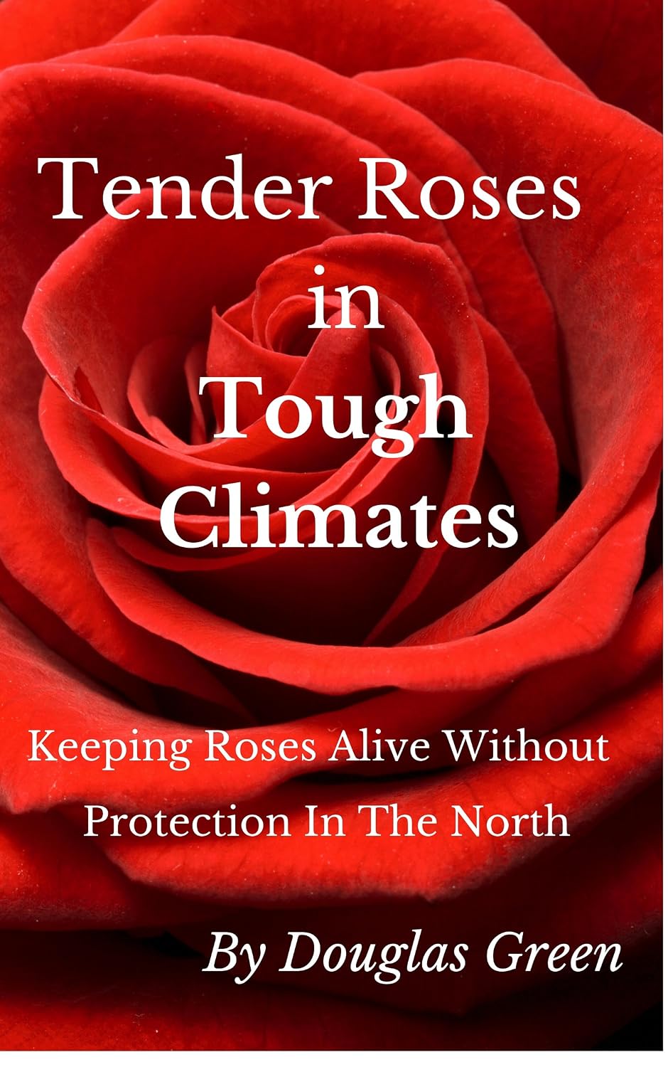 Tender Roses in Tough Climates: How To Grow Awesome Rose Garden Plants In The North (Beginner Gardening Book 6) (English Edition) baixar livro de graça