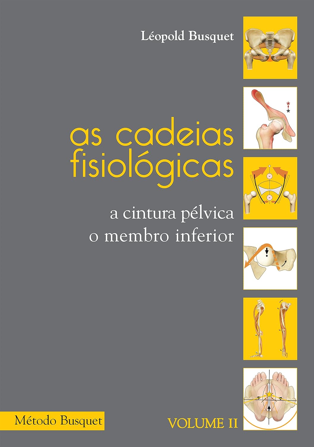 As cadeias fisiológicas- o membro inferior: A cintura pélvica, o membro inferior baixar o livro de graça